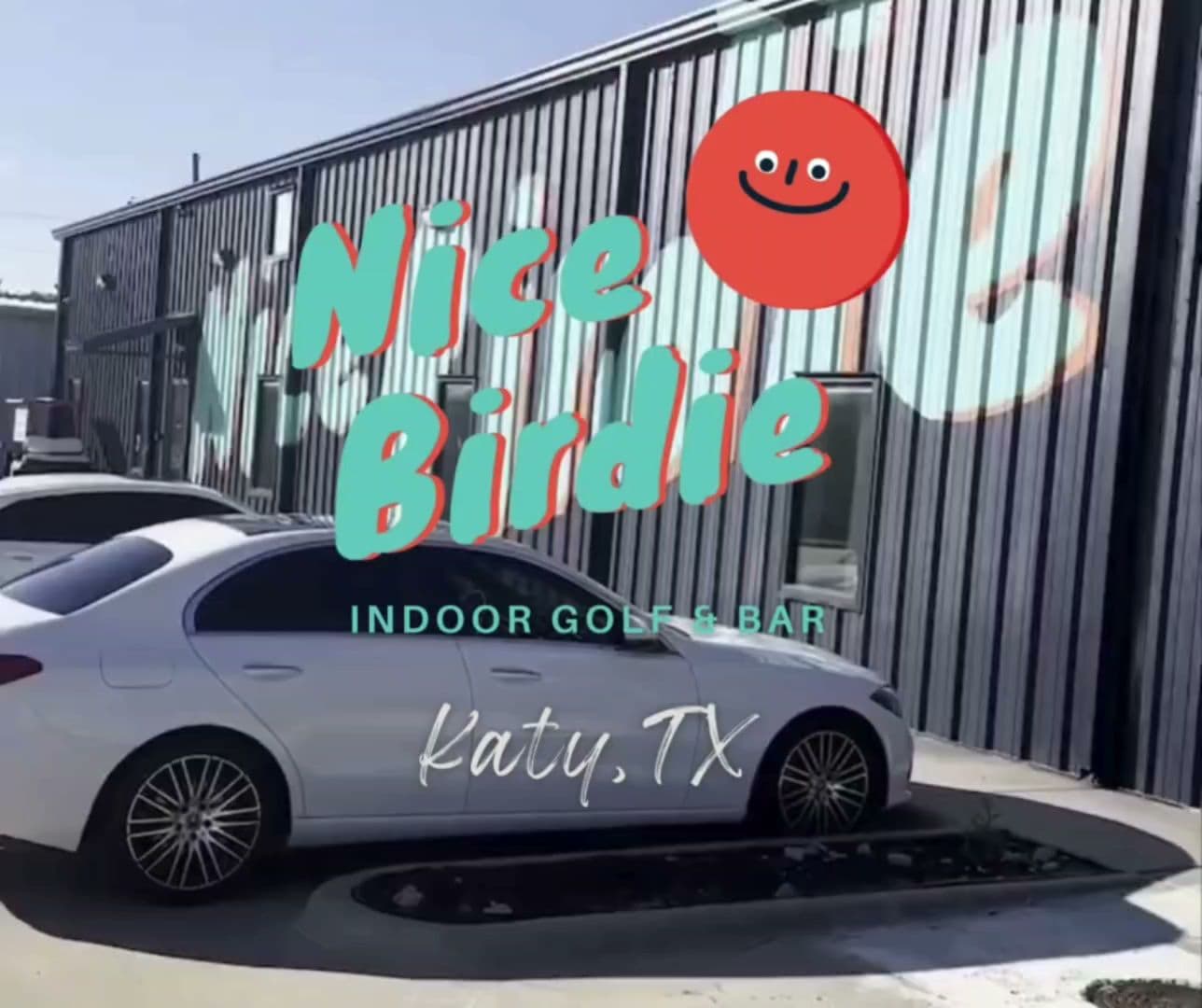 Nice Birdie - Image 8