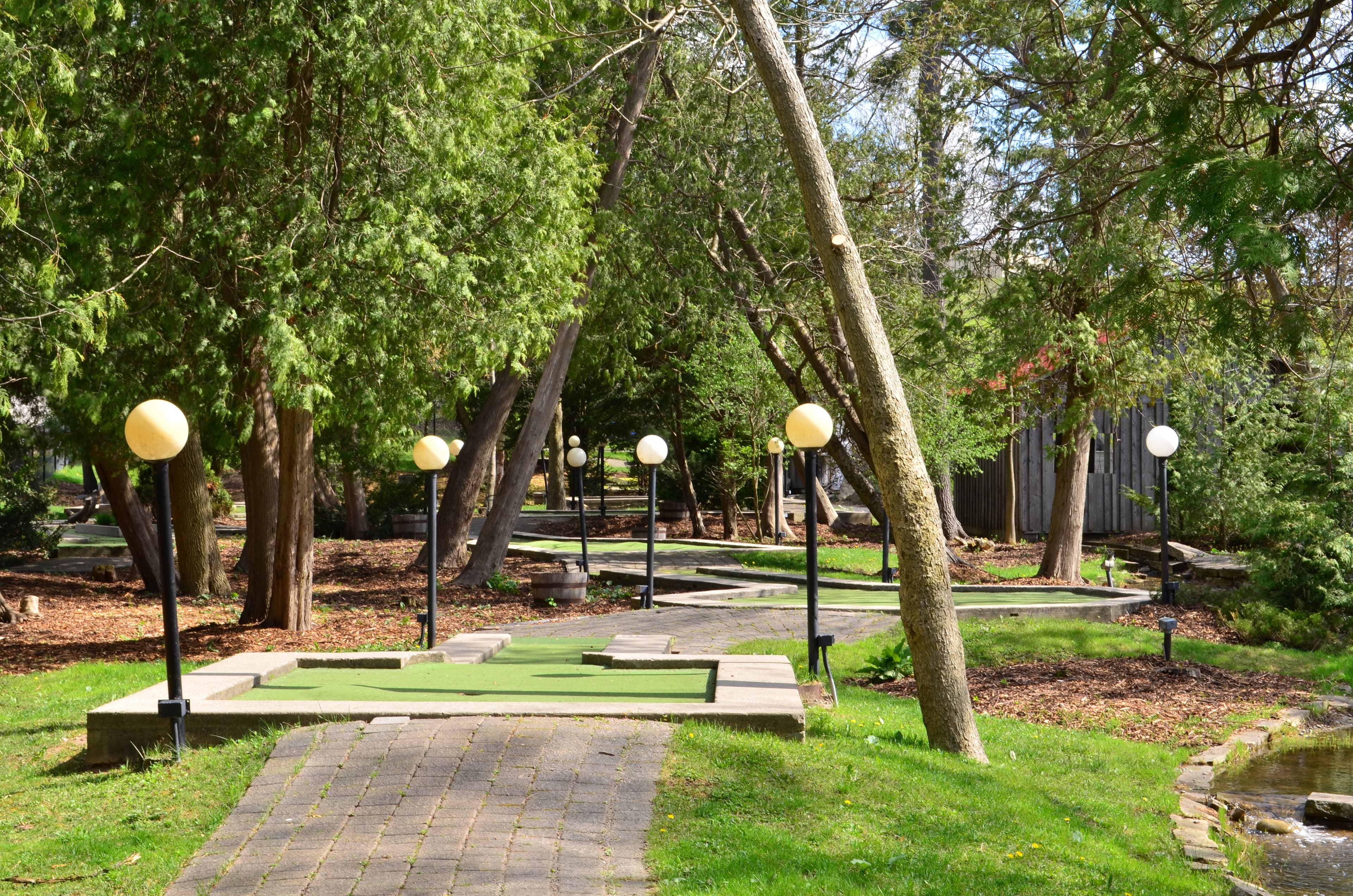 Hole-in-Fun Mini Golf - Image 9