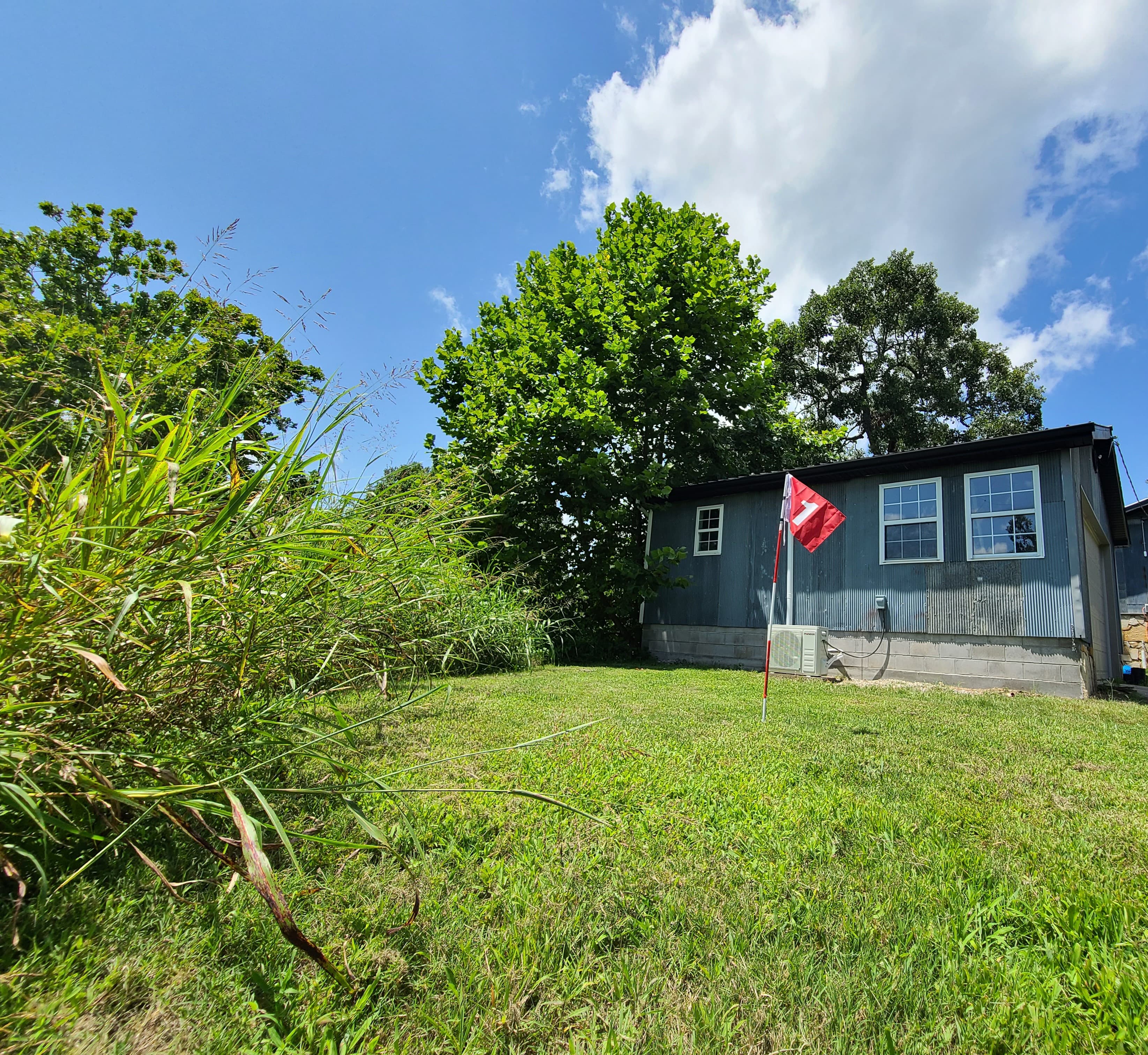 THE BALLISTIC BIRDIE - Image 3