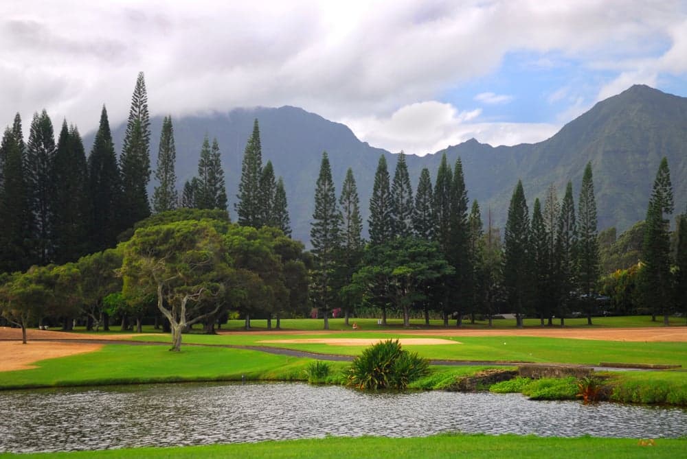 Kauai Golf Club Rentals Powered By Roger Dunn Golf Hawaii Lihue - Image 6