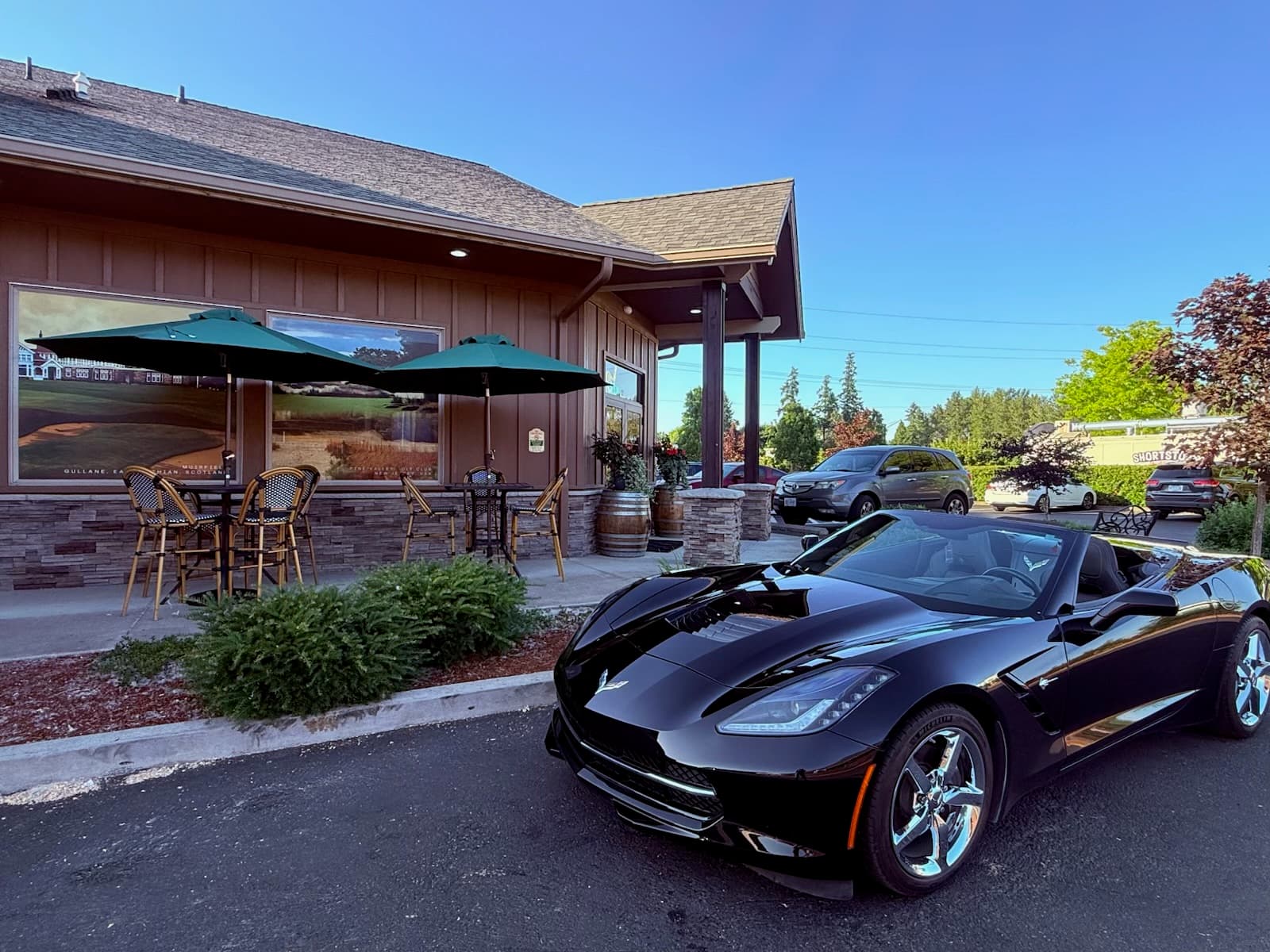 Eagle's Nest Virtual Golf Lounge - Image 7