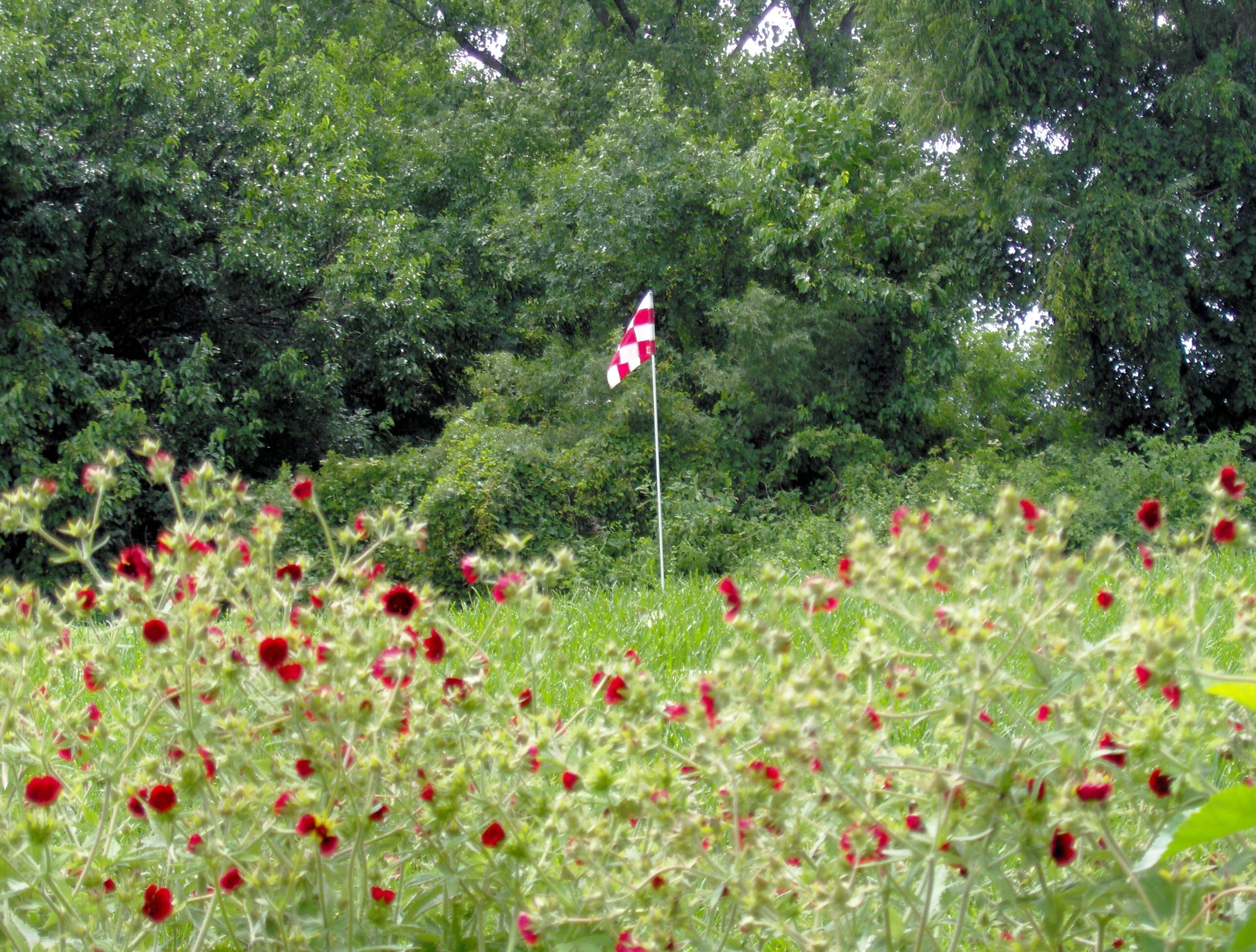 Juday Creek Golf Course - Image 9