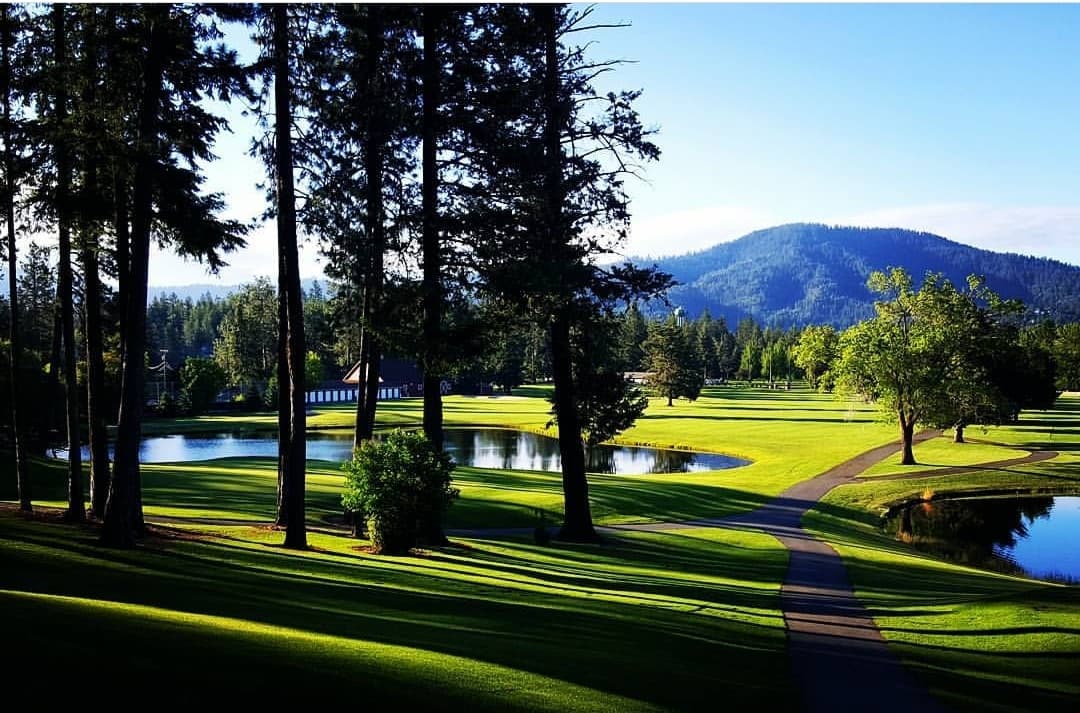 Avondale Golf Club - Image 3