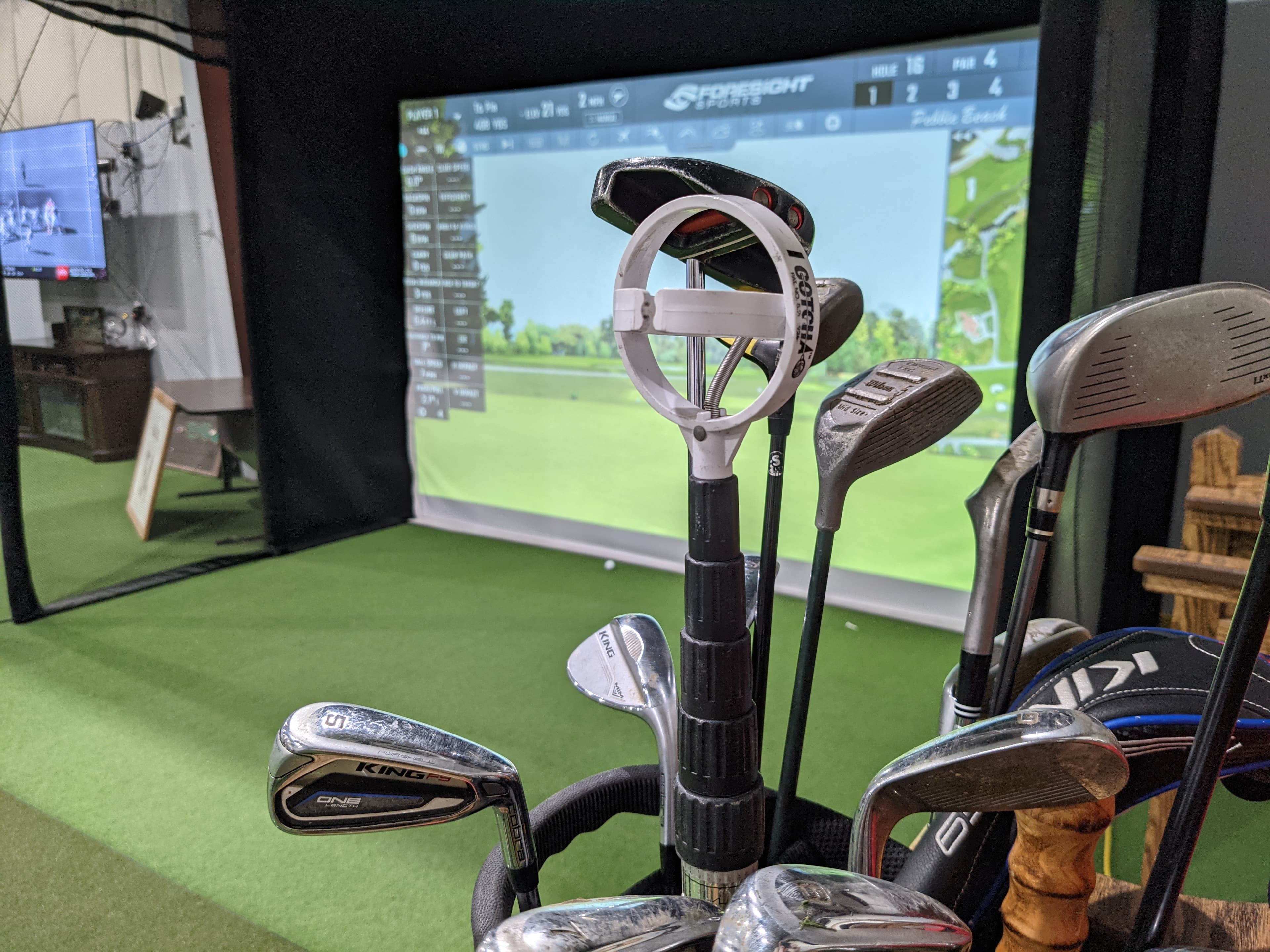 Simulation Sports - Image 3