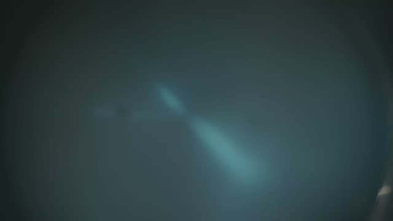 Chipotle Mexican Grill - Image 2