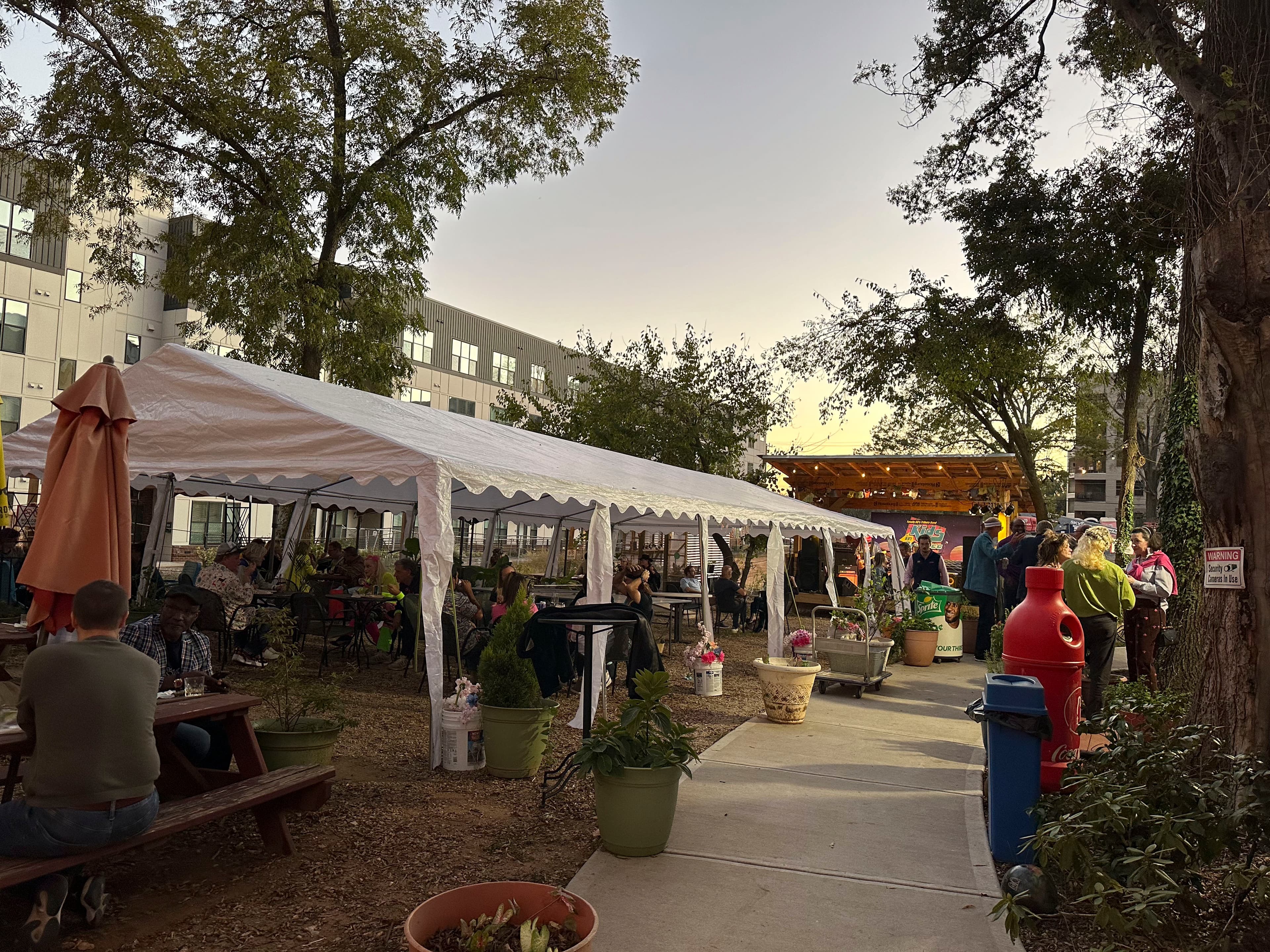 Starlight on 22nd - Image 4