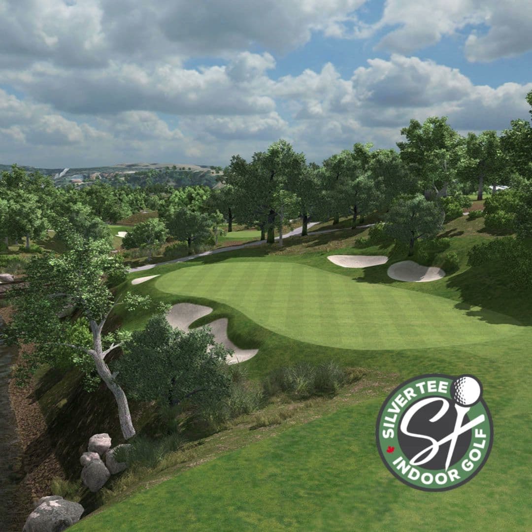 Silver Tee Indoor Golf - Image 2