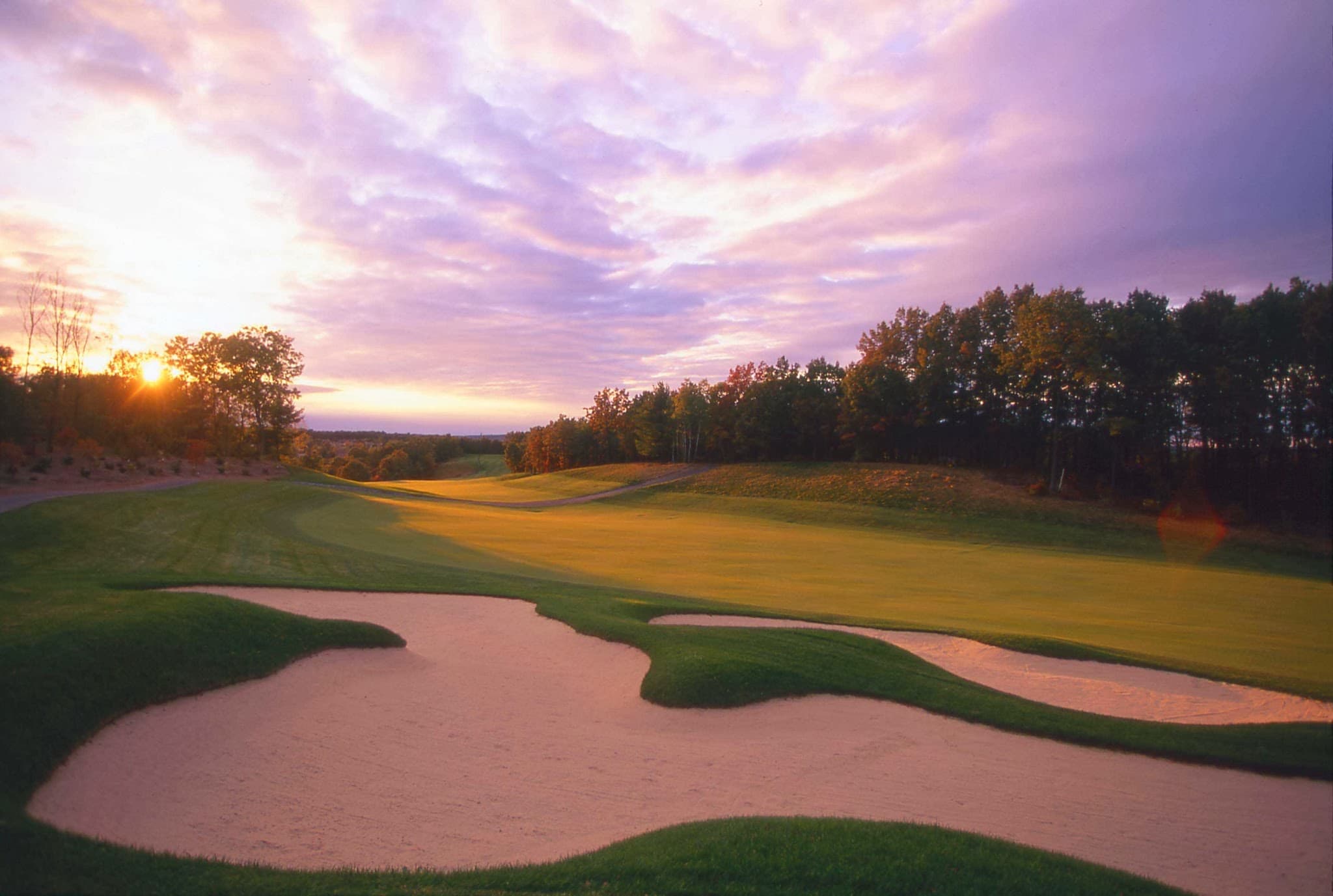 The International Golf Club - Image 3