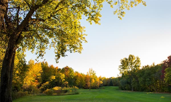 Les Clubs De Golf Banlieue ouest - Image 8