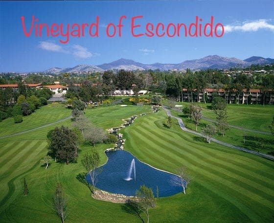 All Fore One Golf Club - Image 7