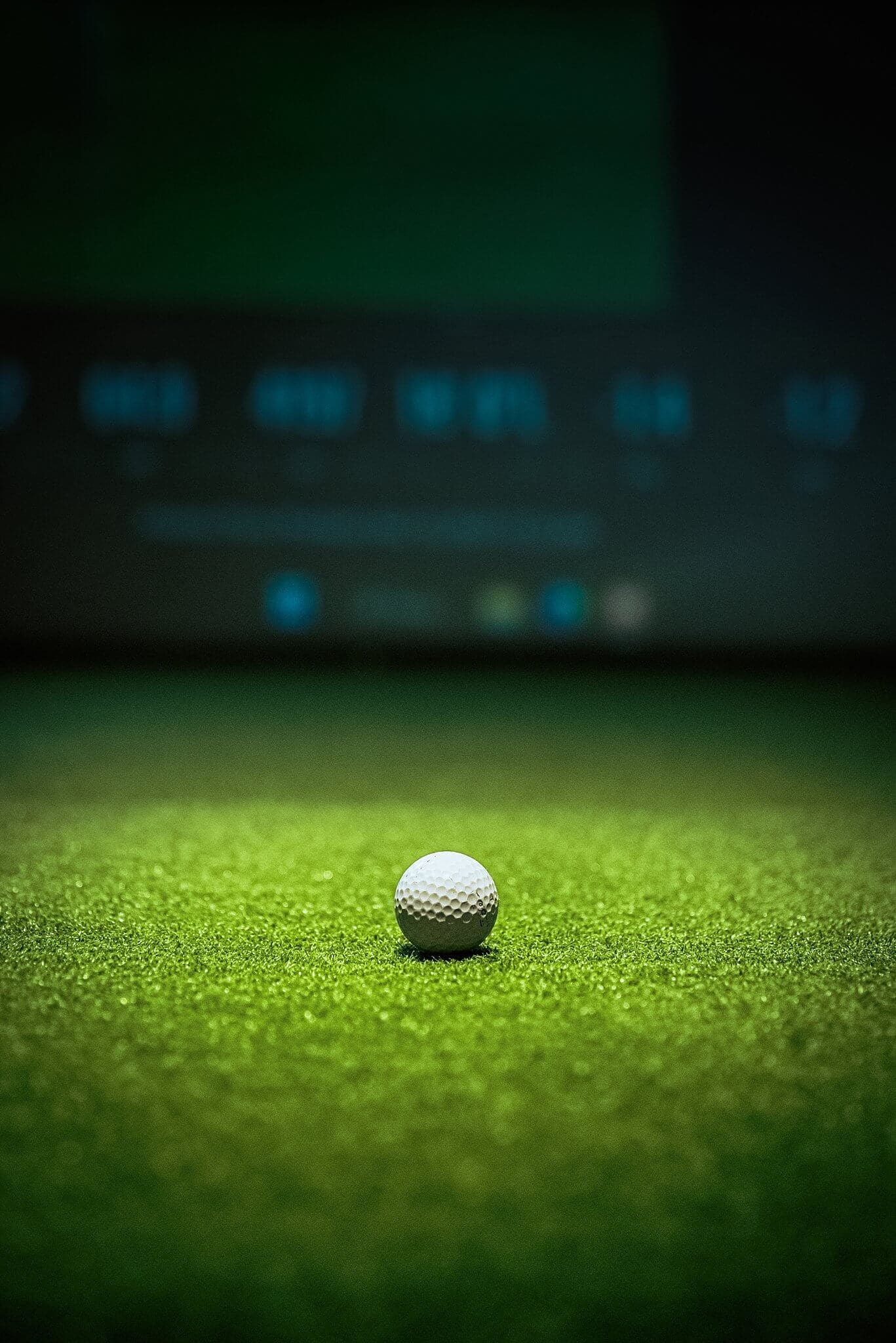 The Back Nine Golf | Spartanburg, SC - Image 9