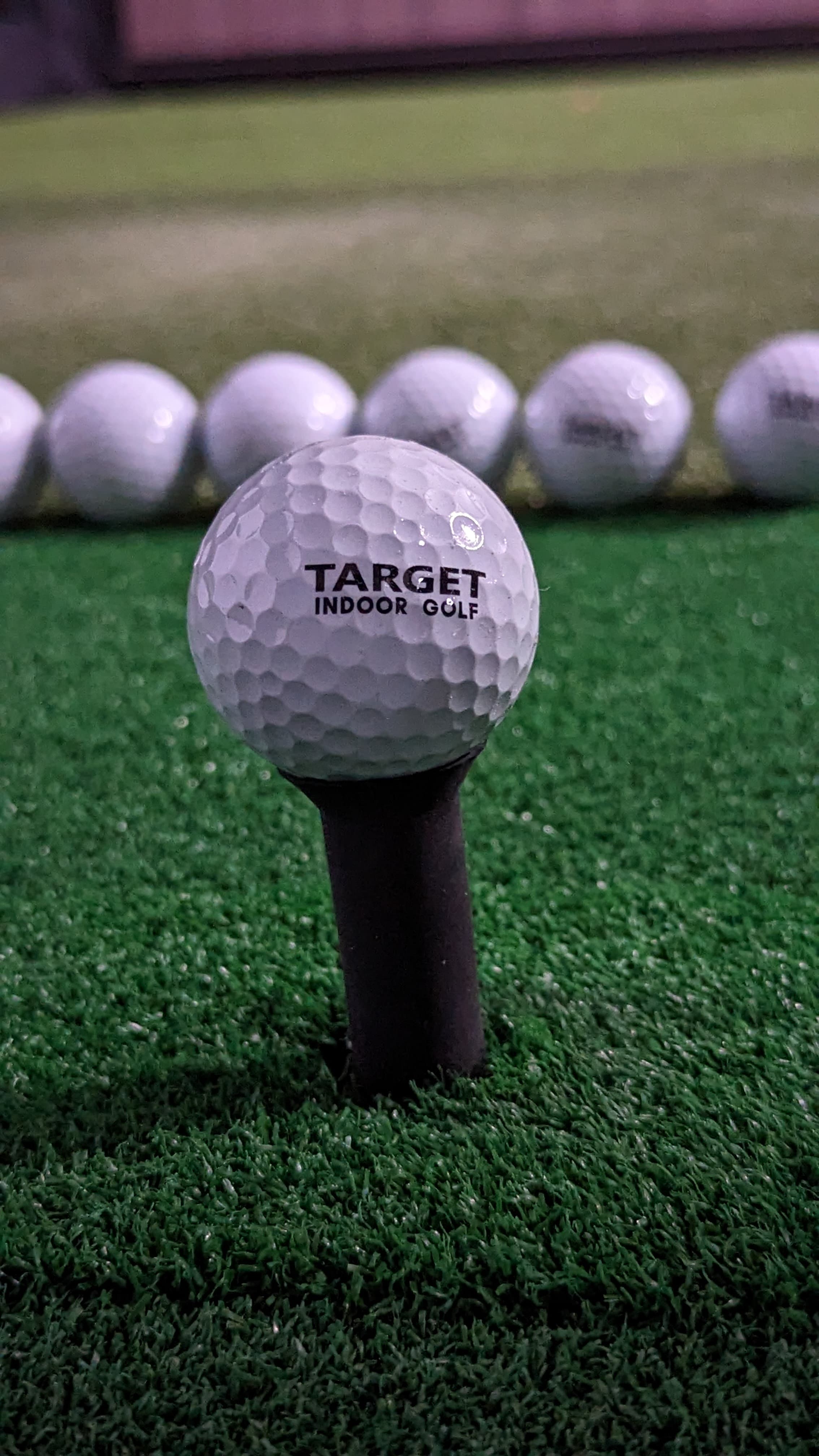 TARGET Indoor Golf - Image 2
