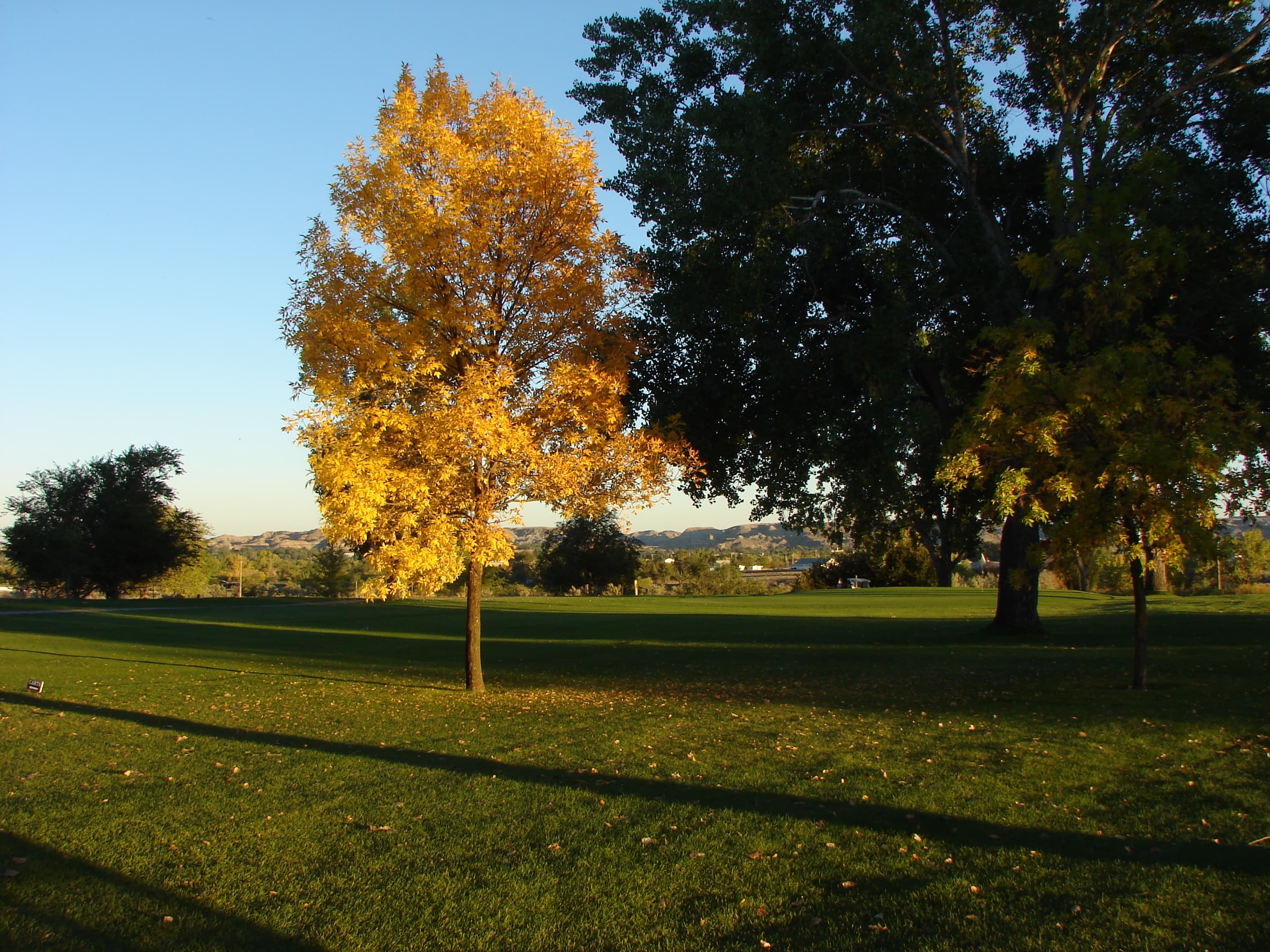 Cottonwood Country Club - Image 4