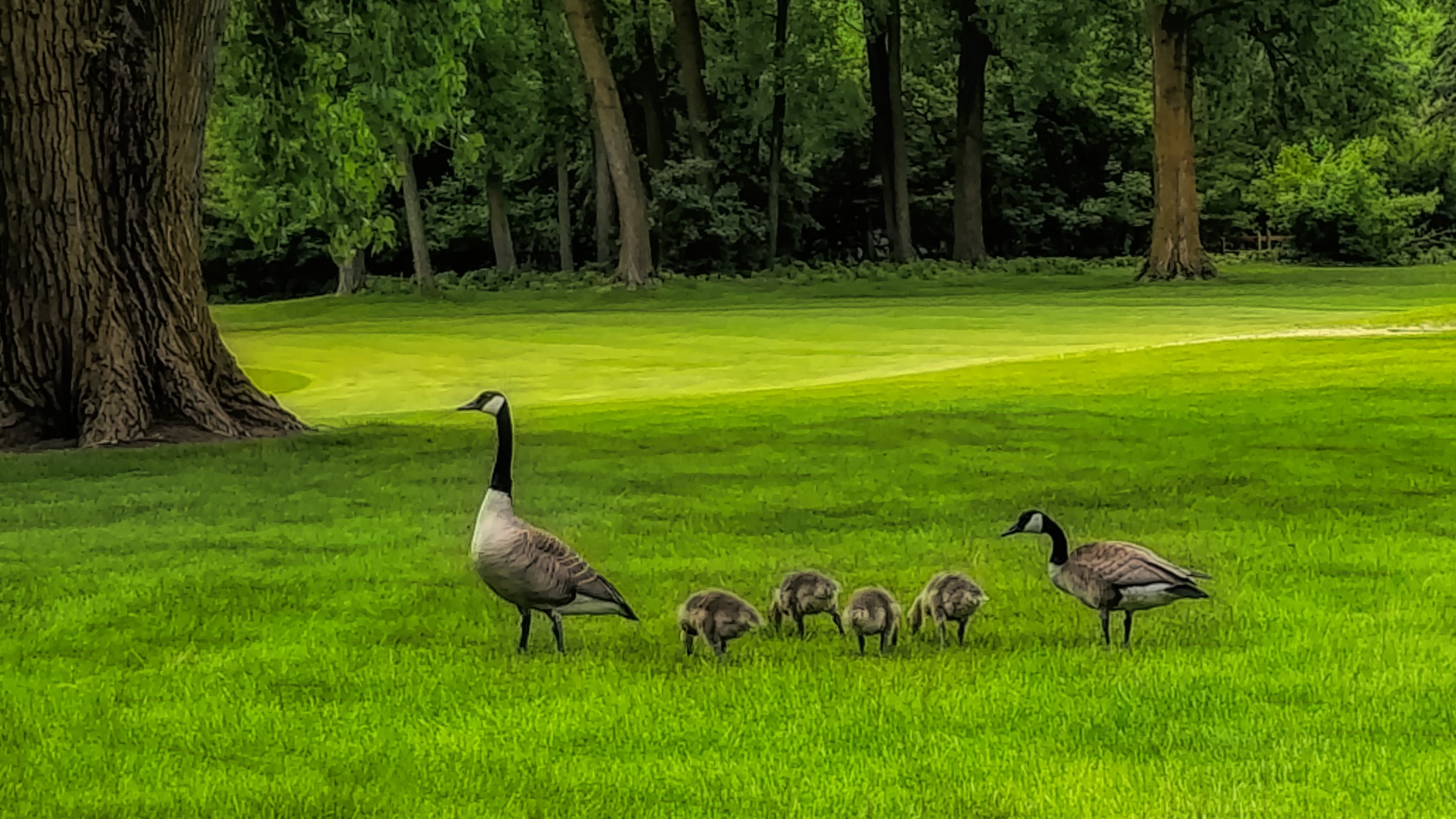 High Cliff Golf and Event Center - Image 9