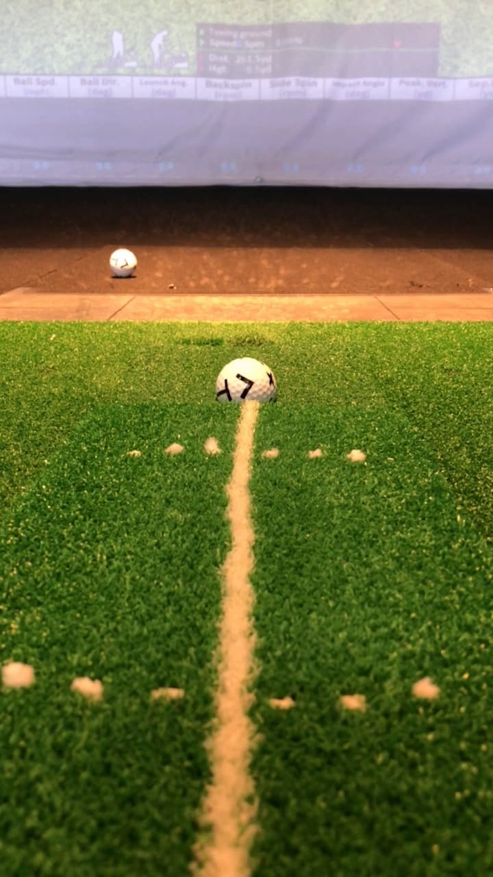 X-Golf Ann Arbor - Image 2