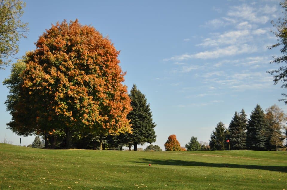 Crestview Golf Club Kalamazoo - Image 8