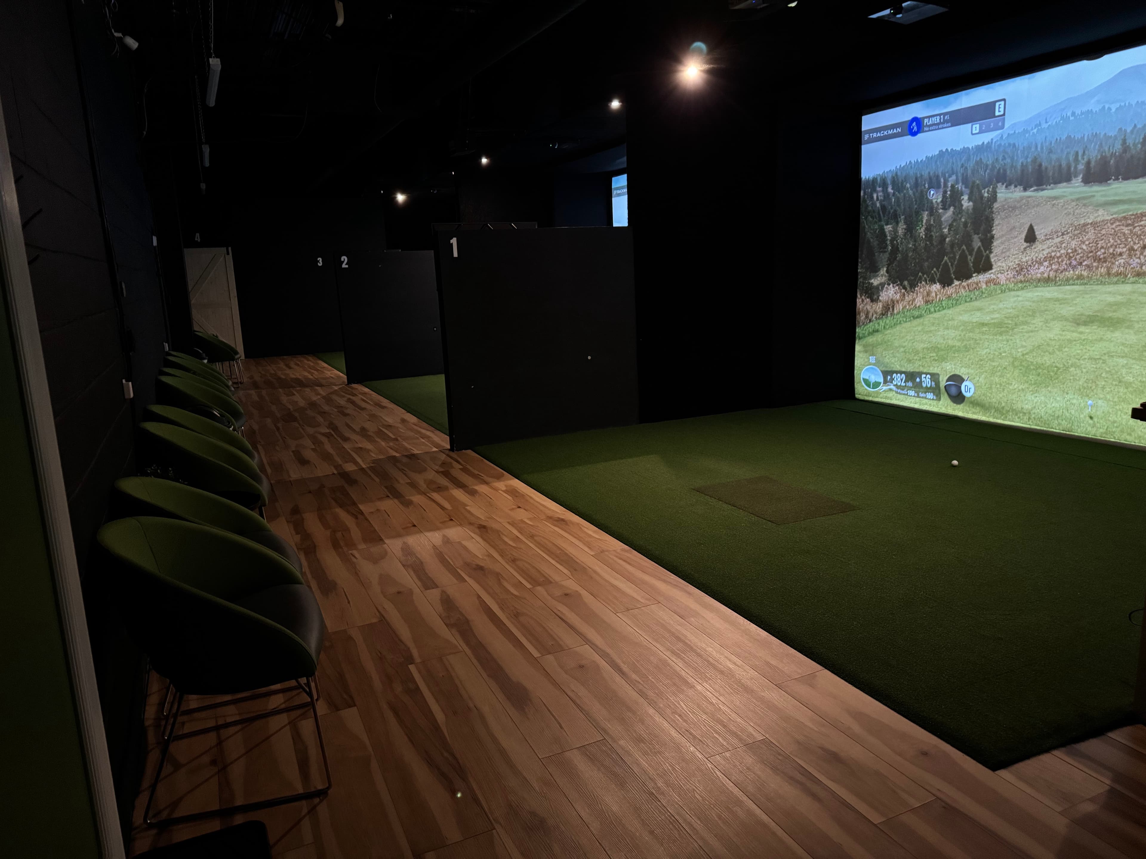 Indoor Pro Golf - Image 2