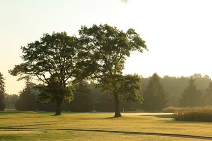 Pine Beach East - Image 8