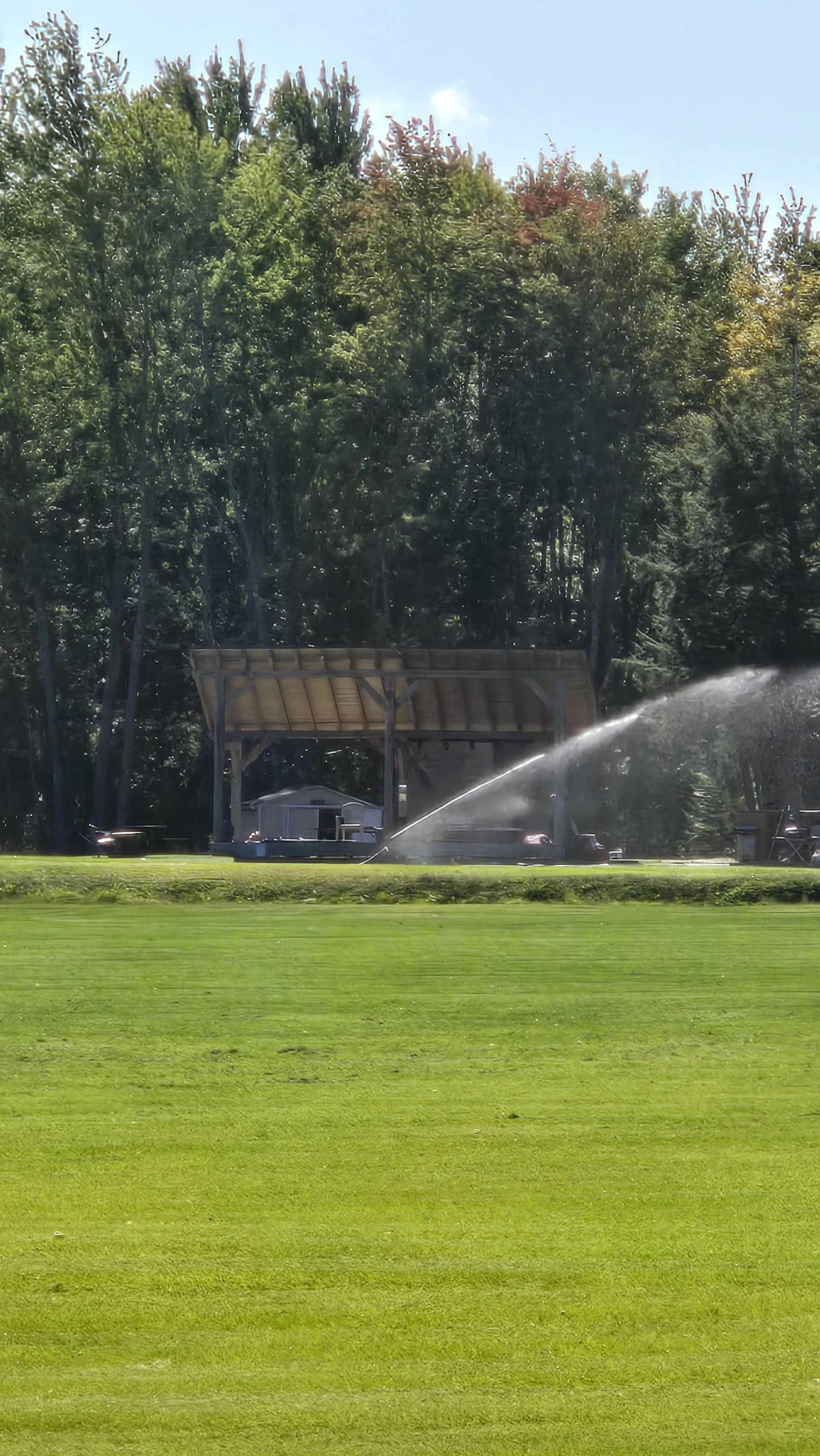 The Golf Clinic - Image 2