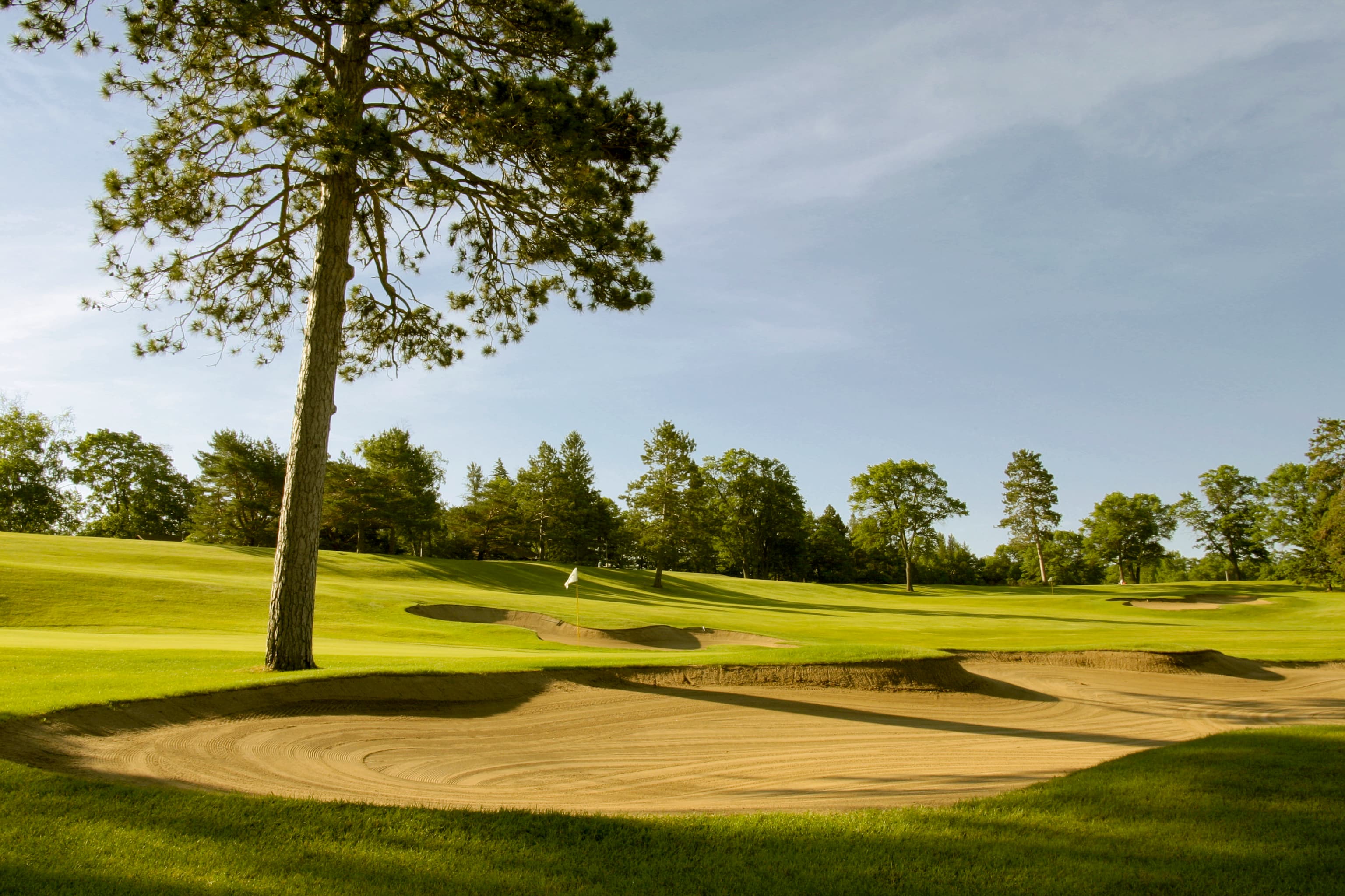 Pine Beach East - Image 5