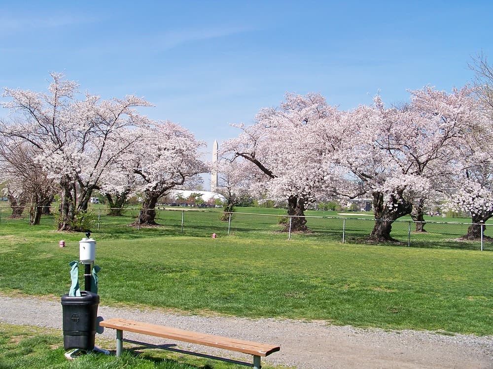 playDCgolf - Image 6