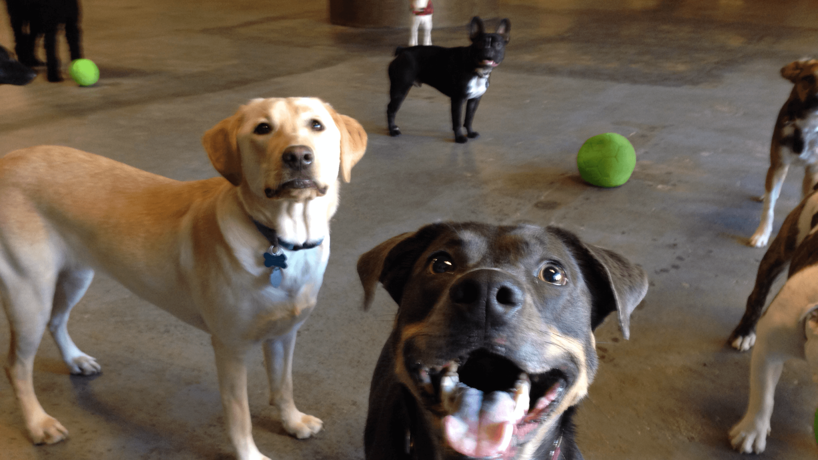 Dogwood Play Park - Image 3