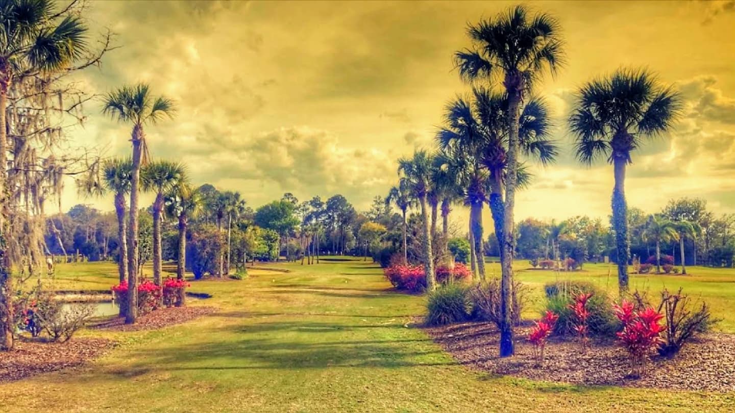 Palm Valley Golf Club - Image 1