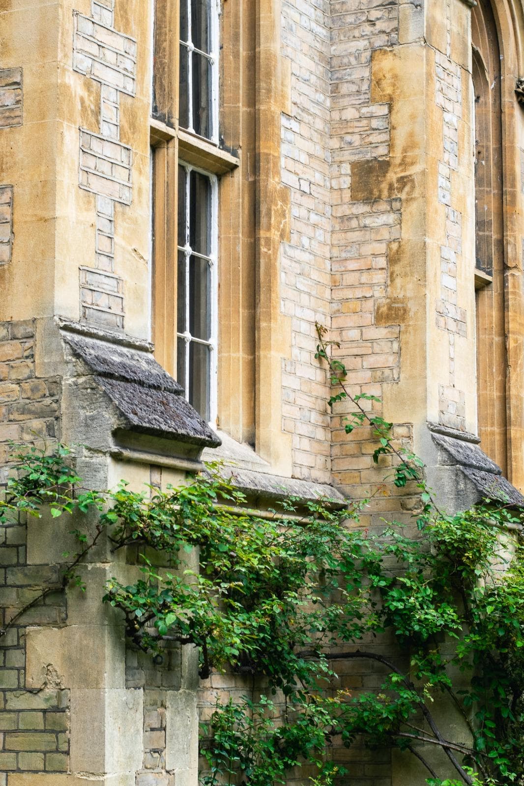 SGC Wandsworth Common - Image 7