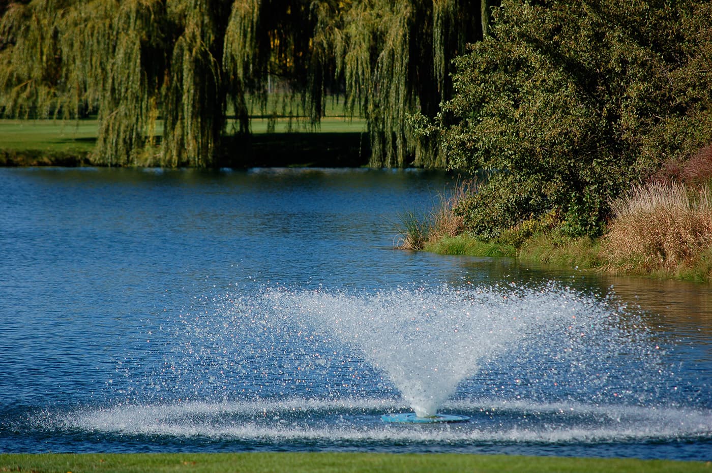 Bonnie Dundee Golf Club - Image 10