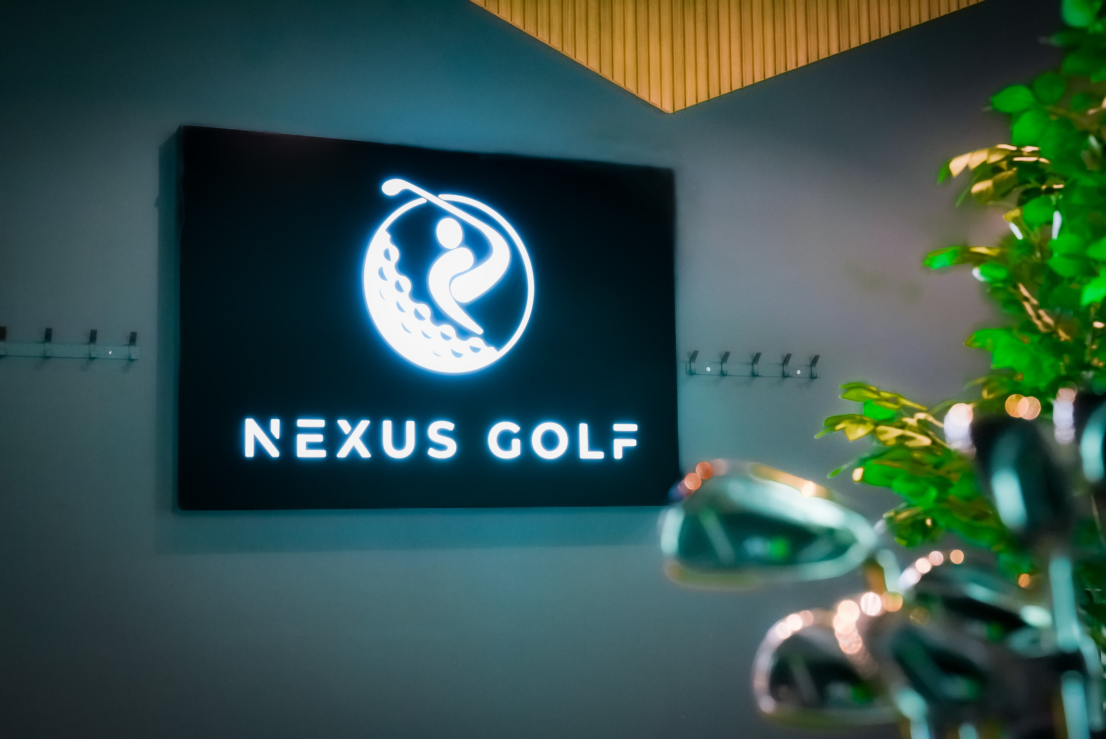Nexus Golf - Image 2