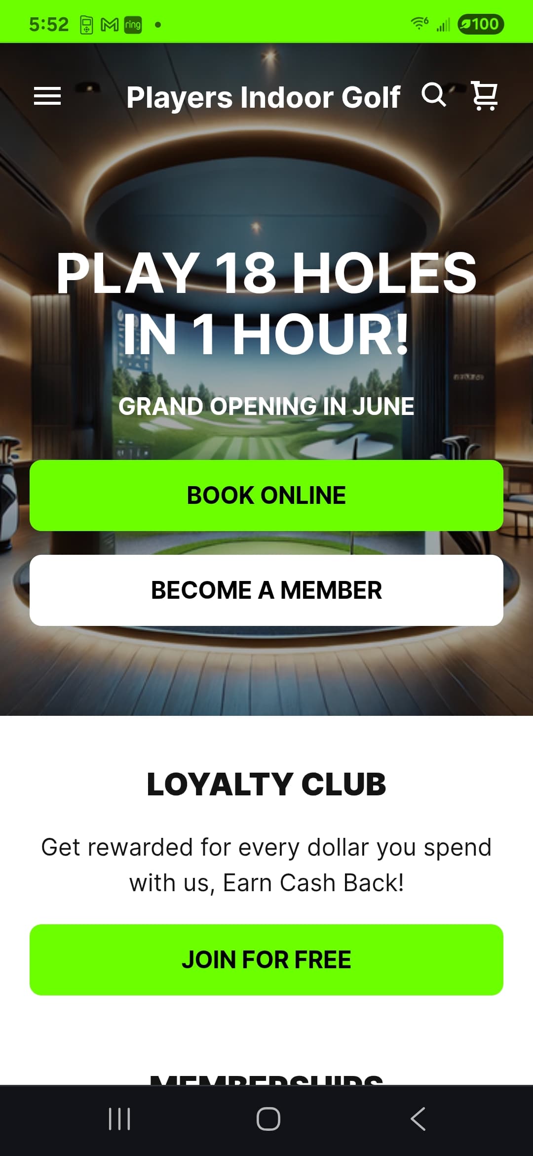 Players Indoor Golf | Indian Lake, Ohio - Image 9