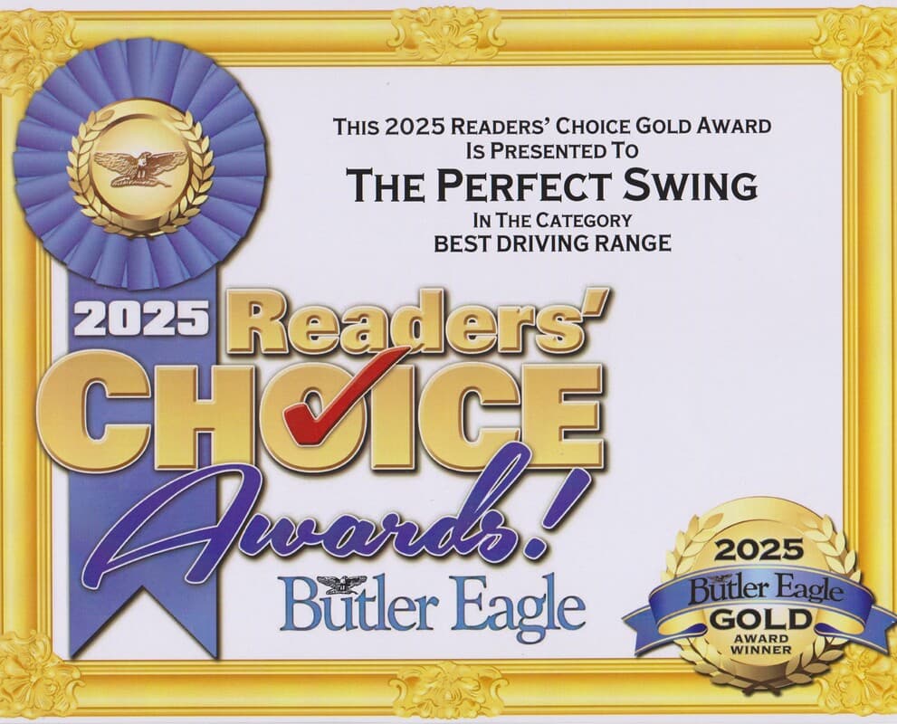 Perfect Swing - Image 7