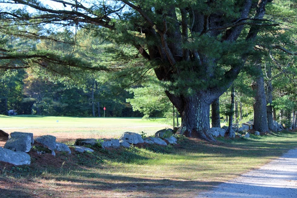 Lake Kezar Country Club - Image 8