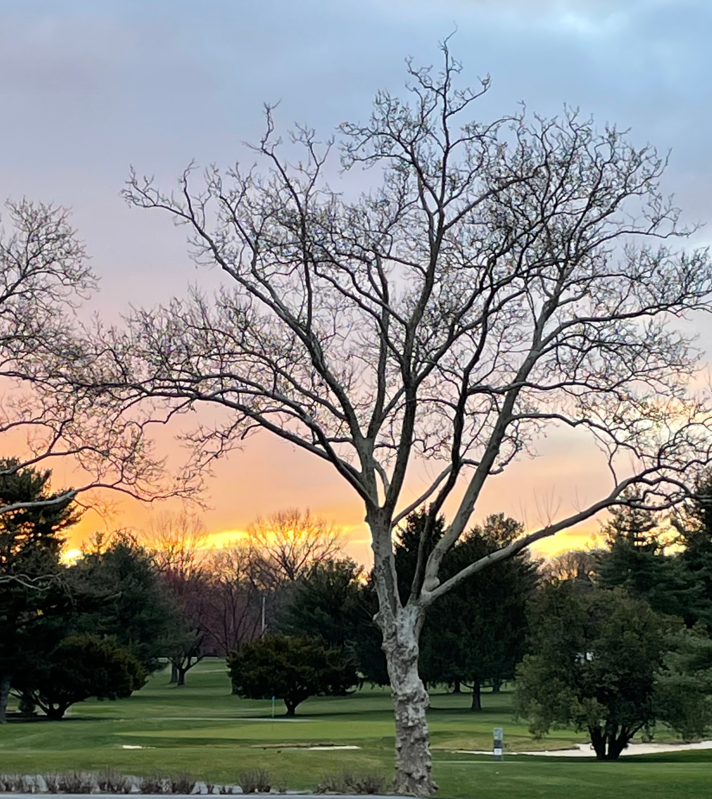 Overlook Golf Course - Image 7
