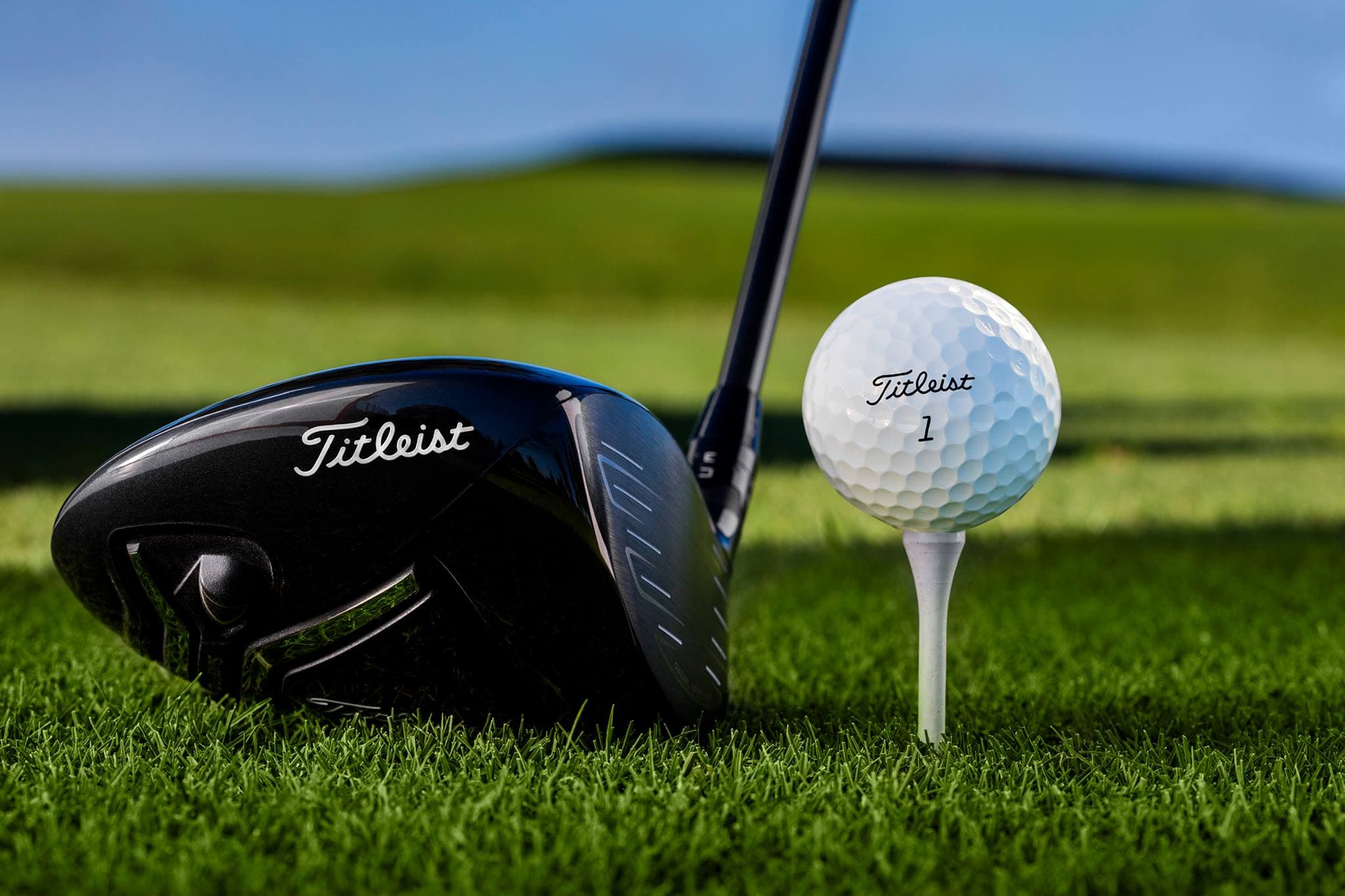 Golf Gallery - Image 3