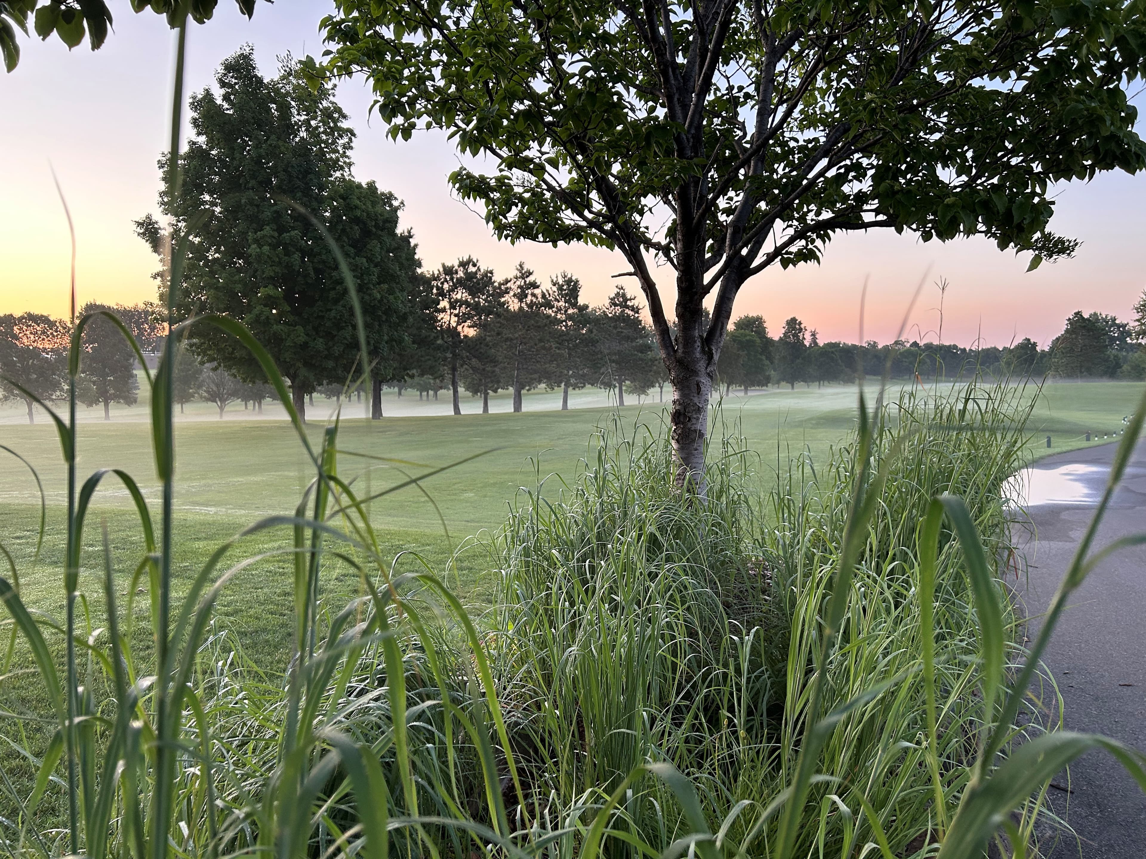 Green Haven Golf Course - Image 10