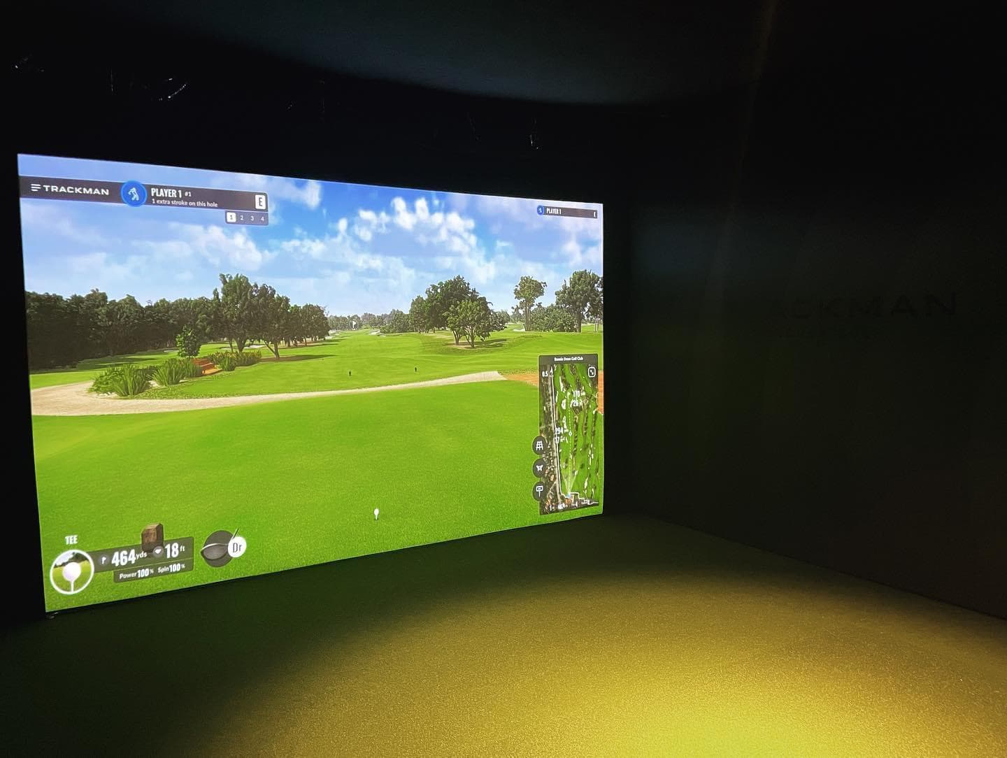 Pin High Golf - Image 5