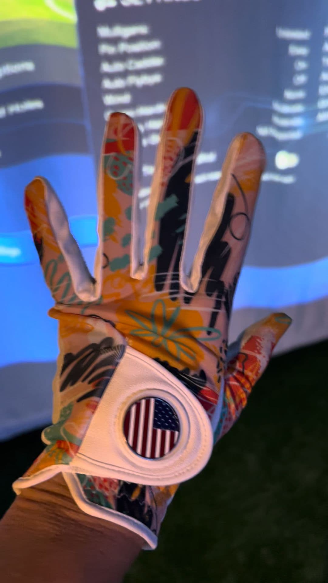 The Sport Sim - Image 7