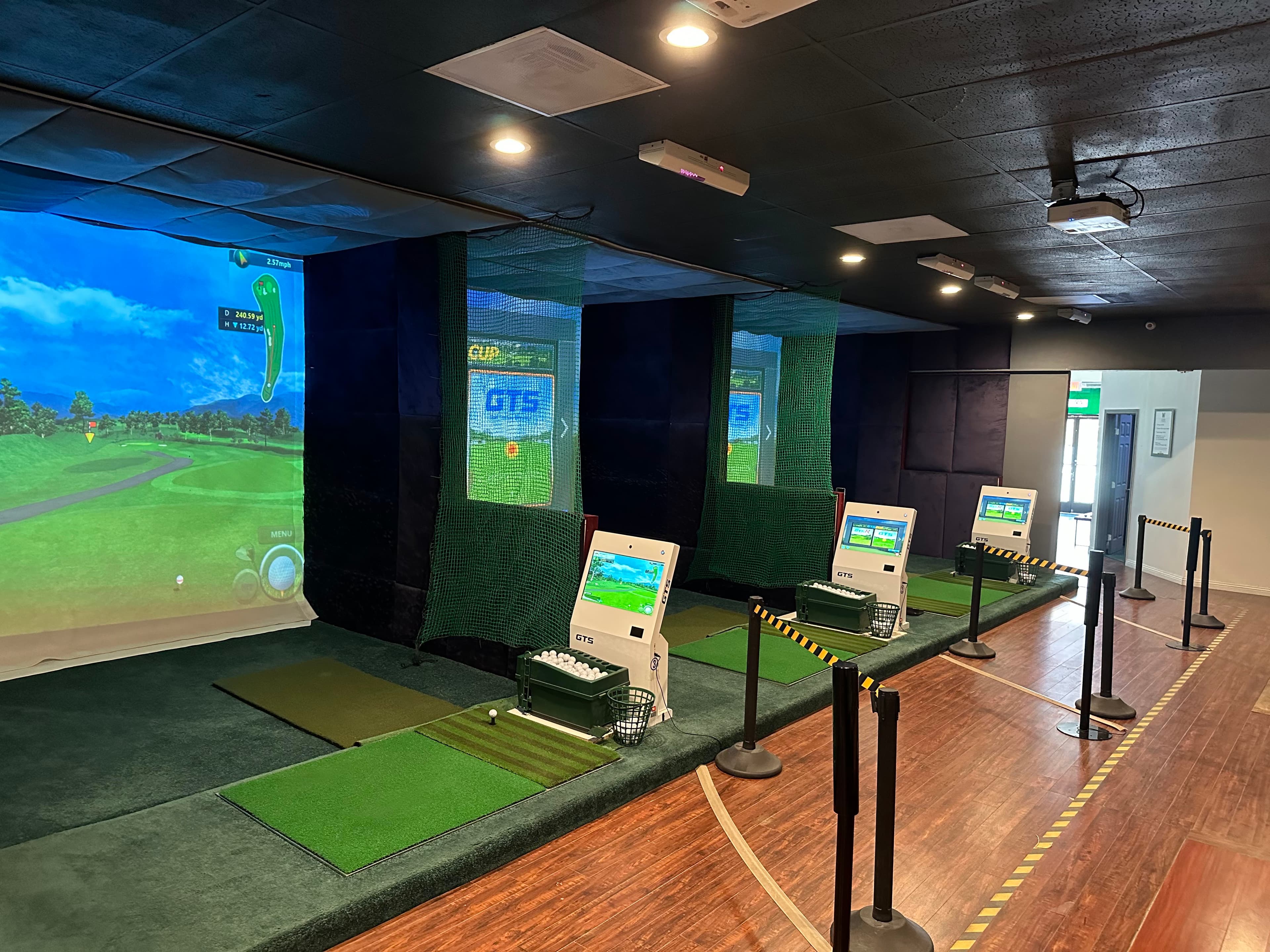W Screen Golf - Image 1