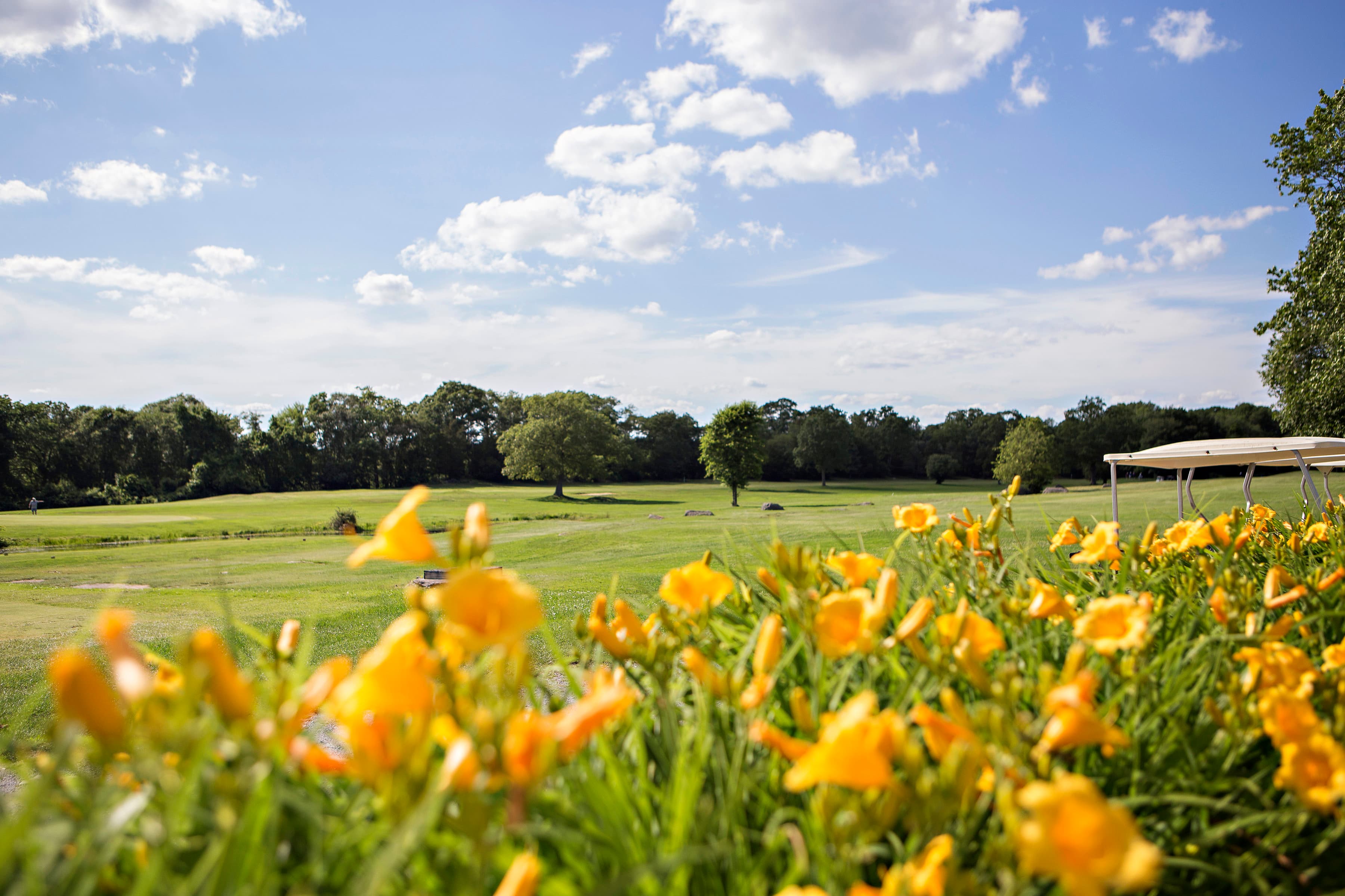 Touisset Country Club - Image 1