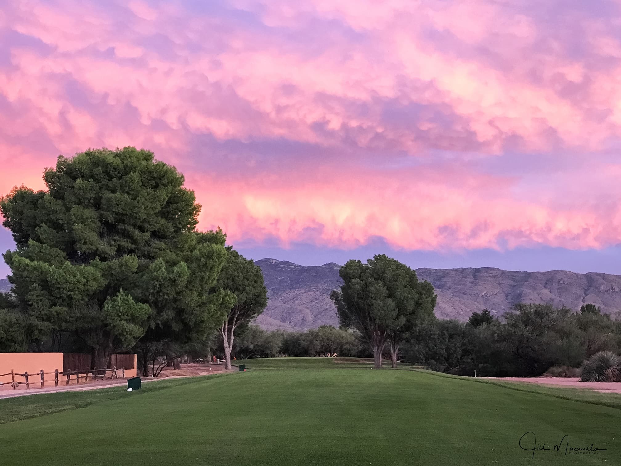 Forty Niner - Image 1