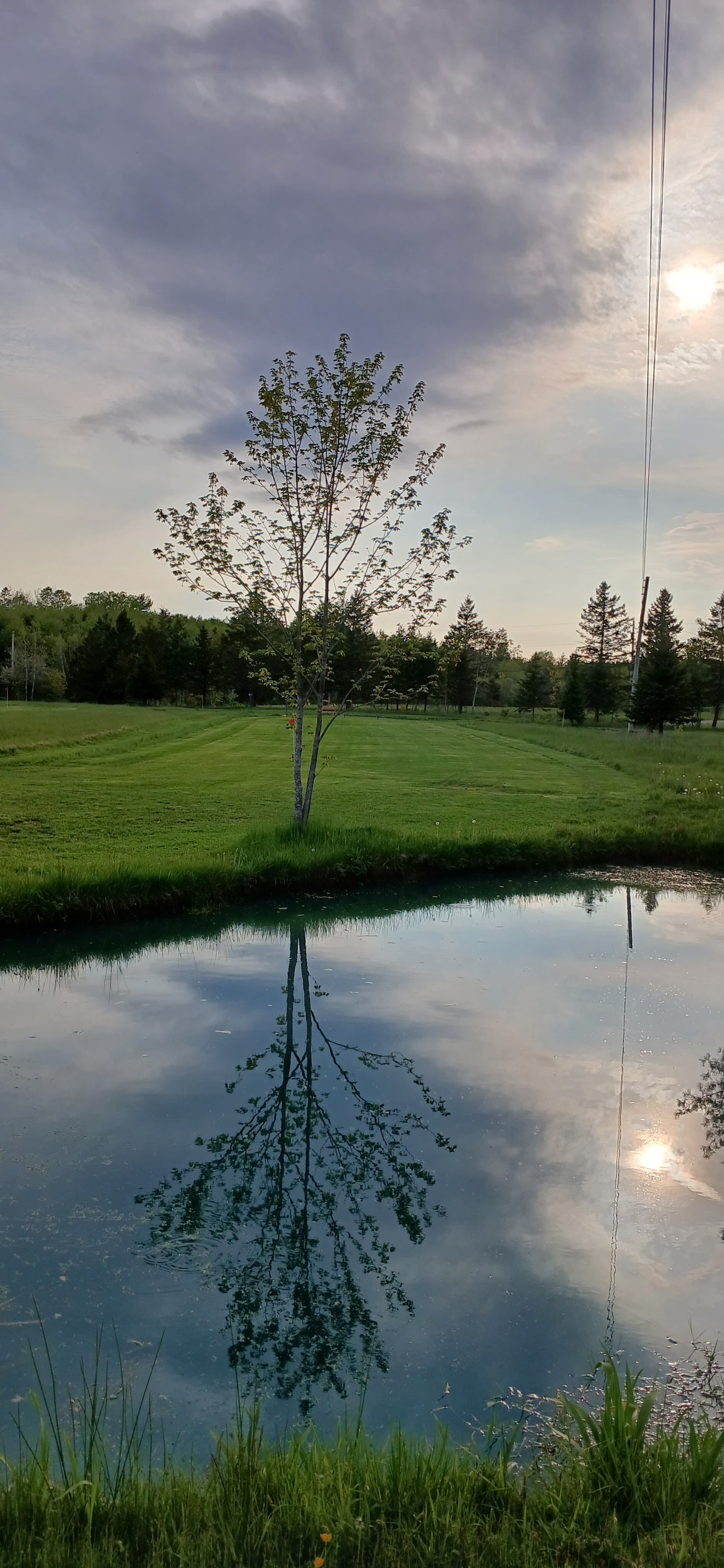 Rines Creek Park Golf - Image 8