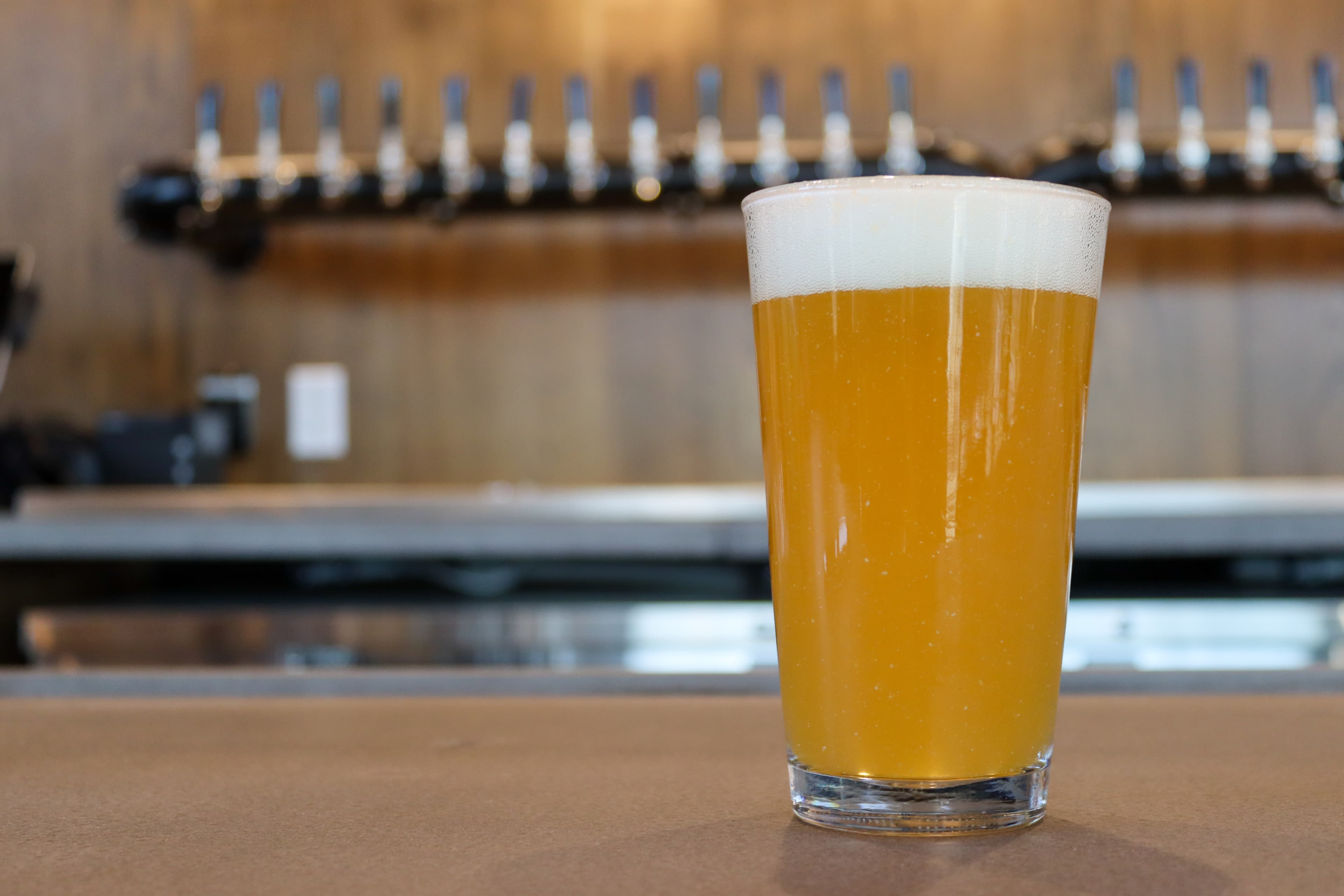 Rosecomb Beer Garden - Image 5