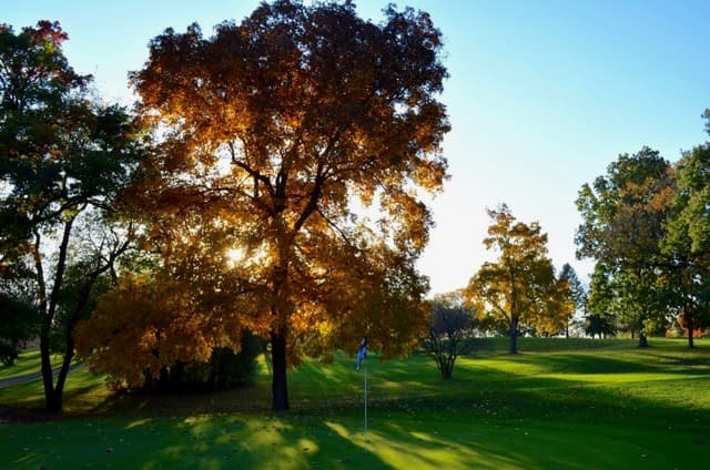Edgewood Golf Course - Image 6