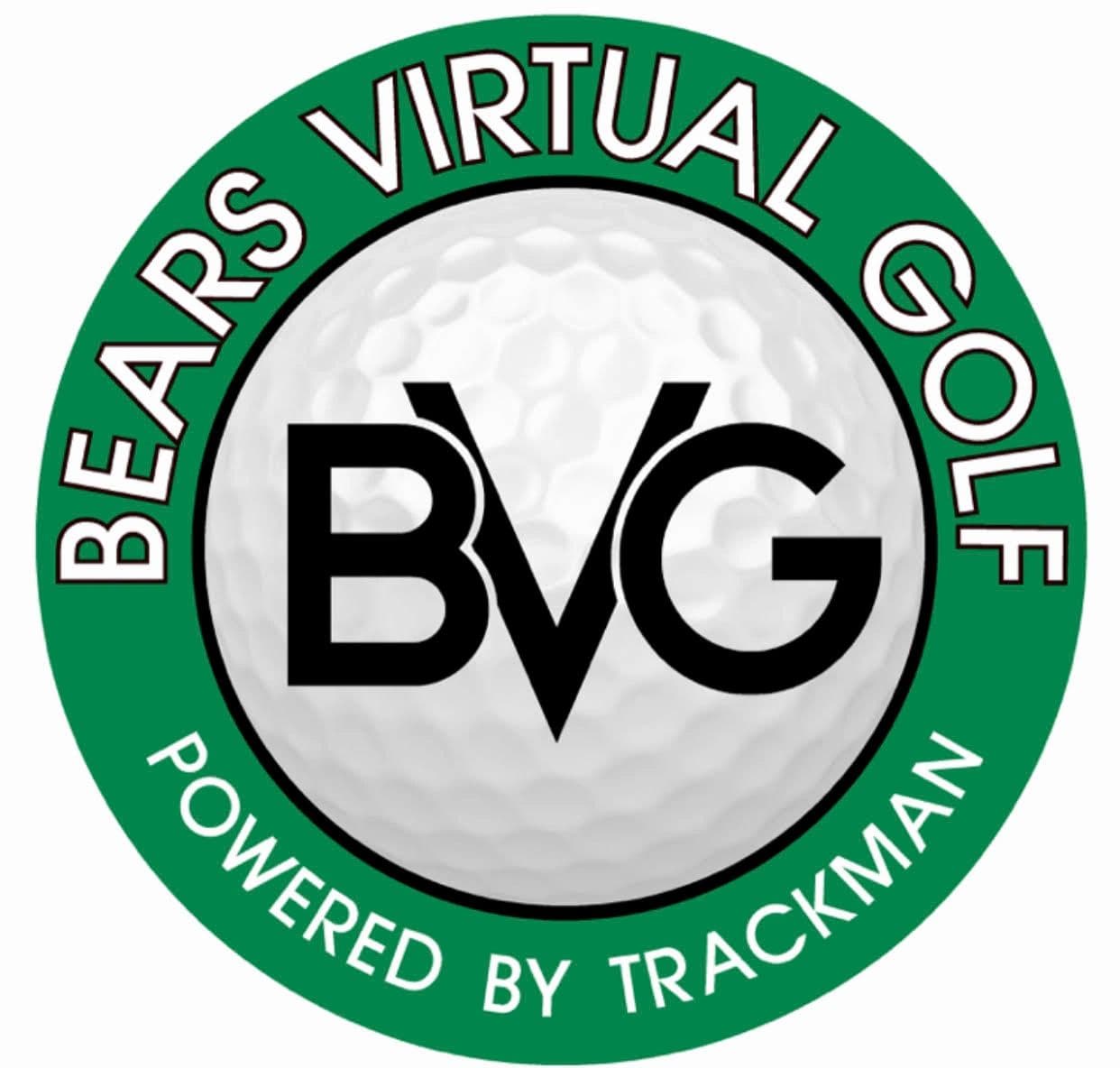 Bear's Virtual Golf - Image 4