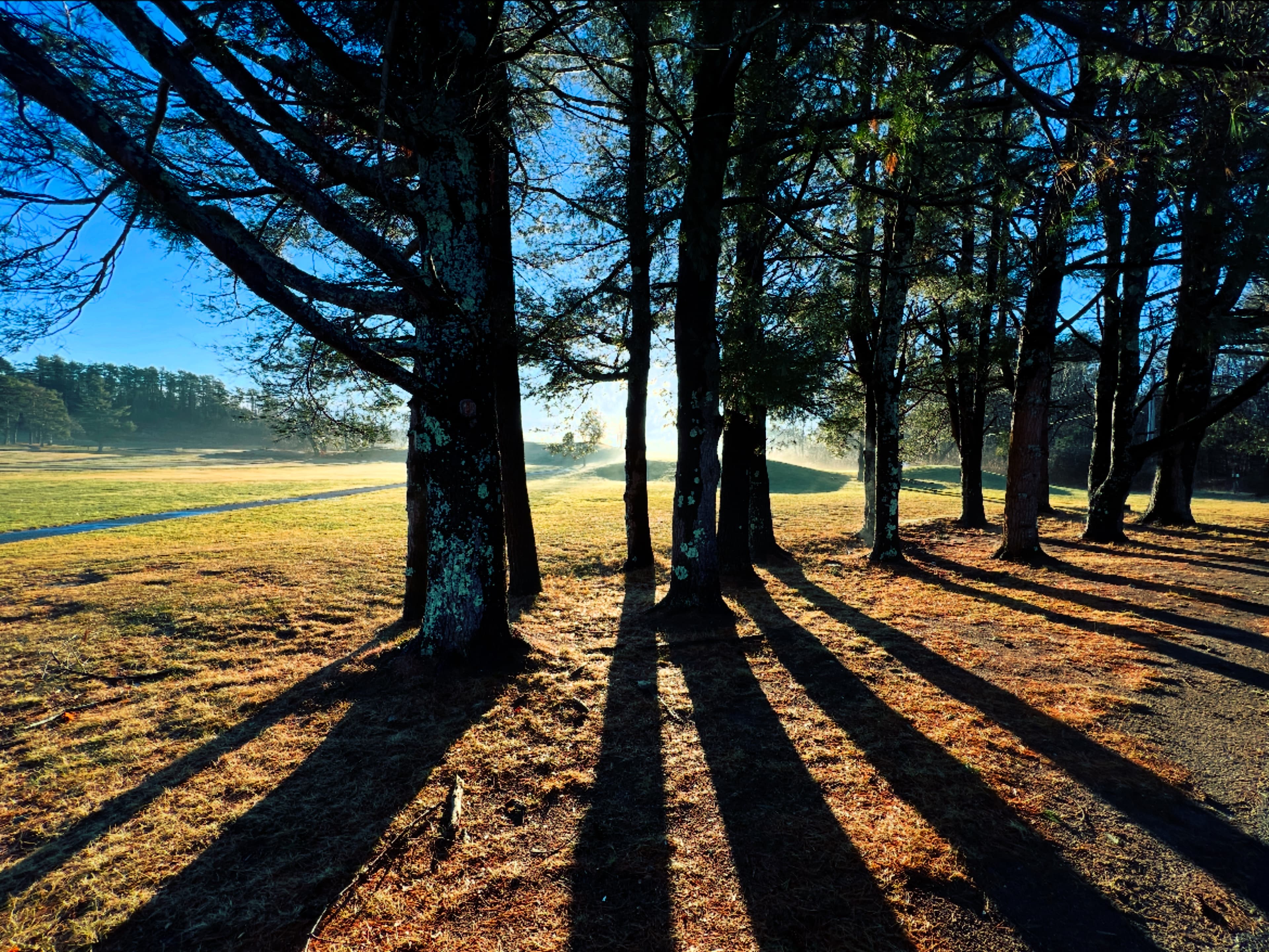 The Bath Golf Club - Image 7