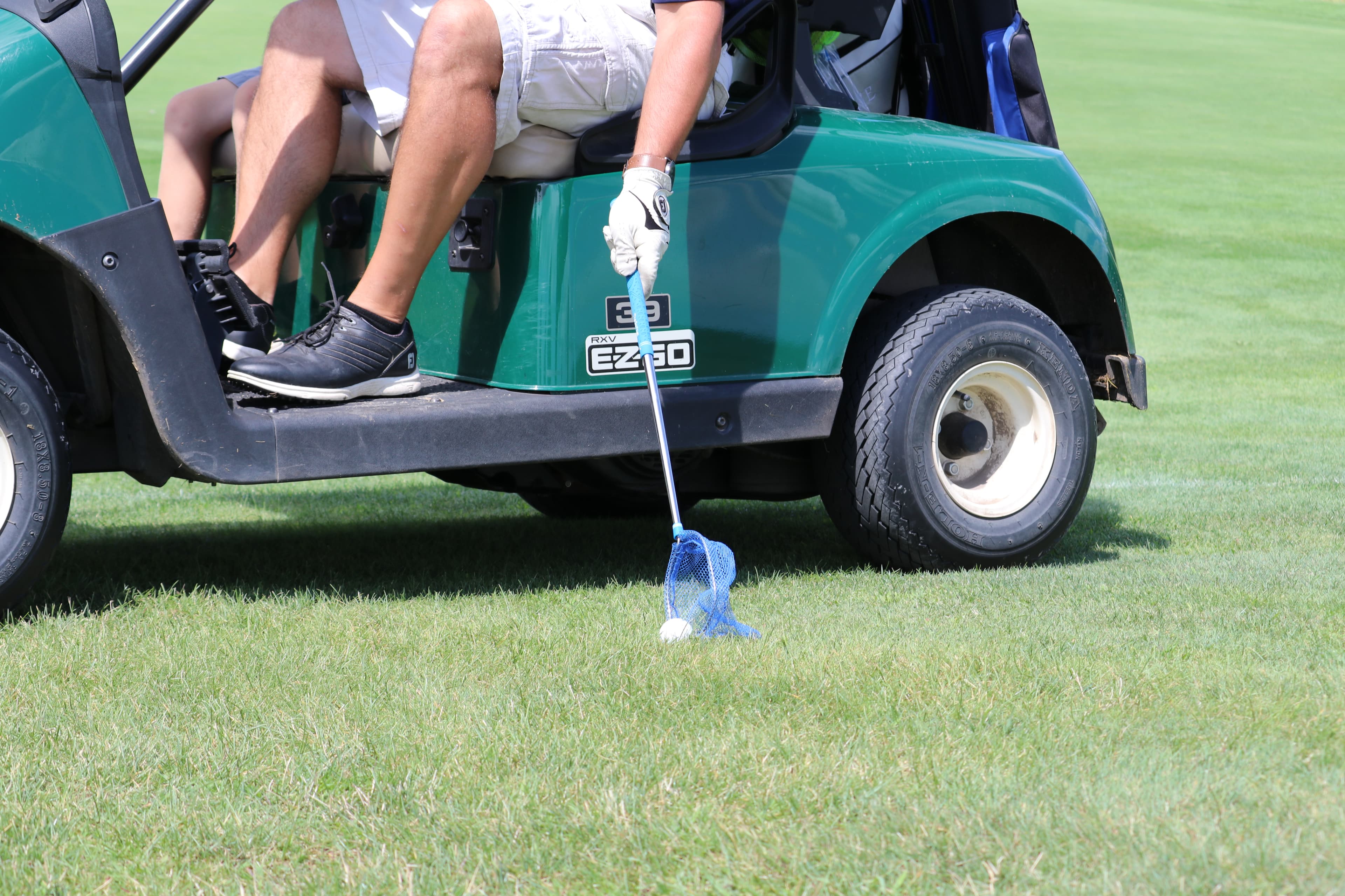 The Golf Net - Image 7