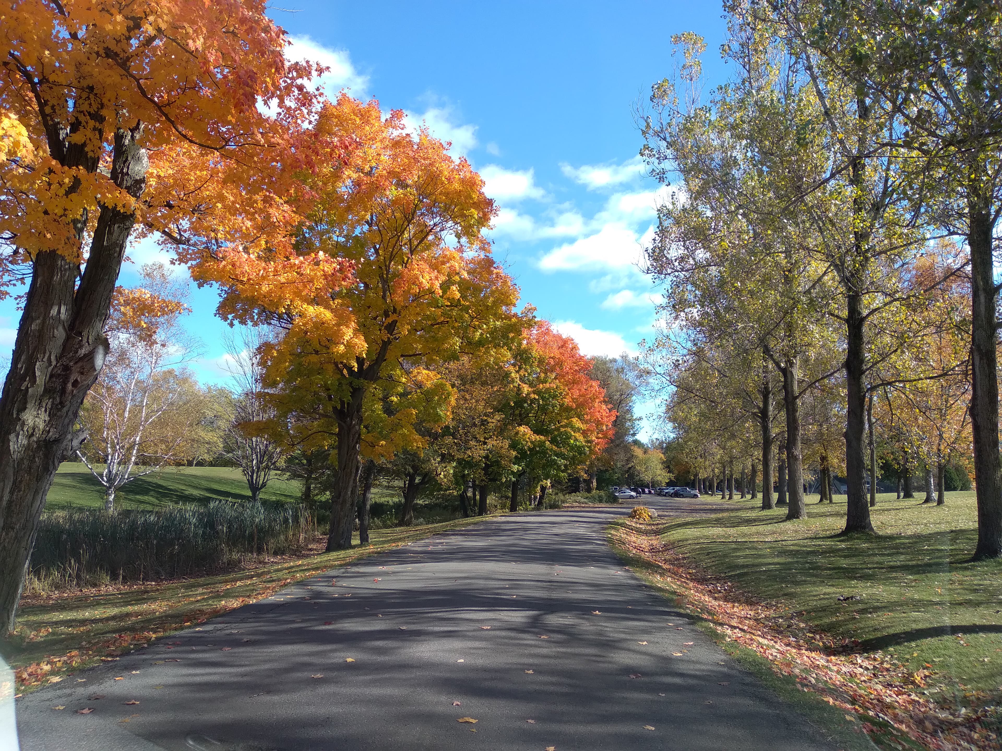 Newcastle Golf and Country Club - Image 5