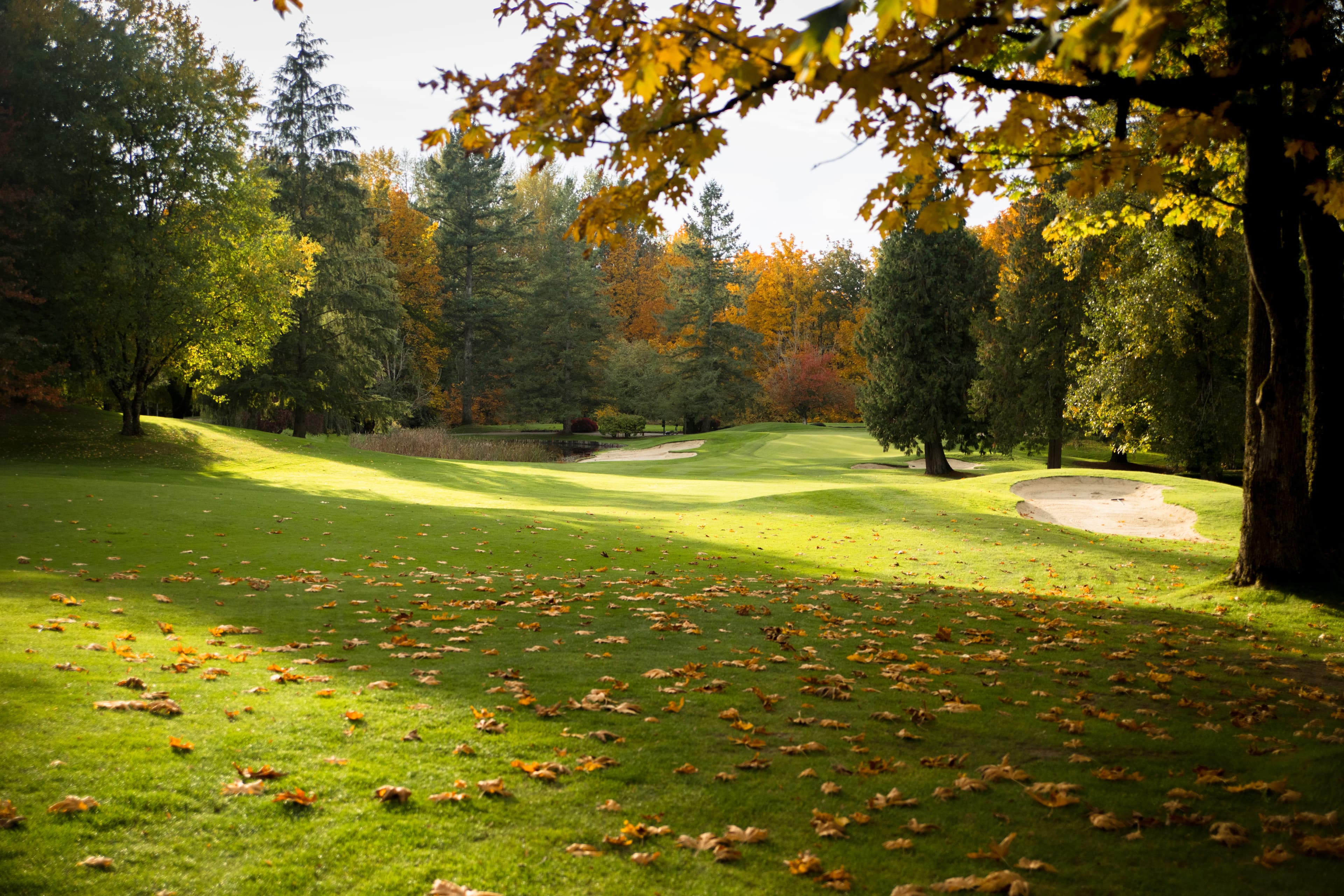 Ledgeview Golf Club - Image 4