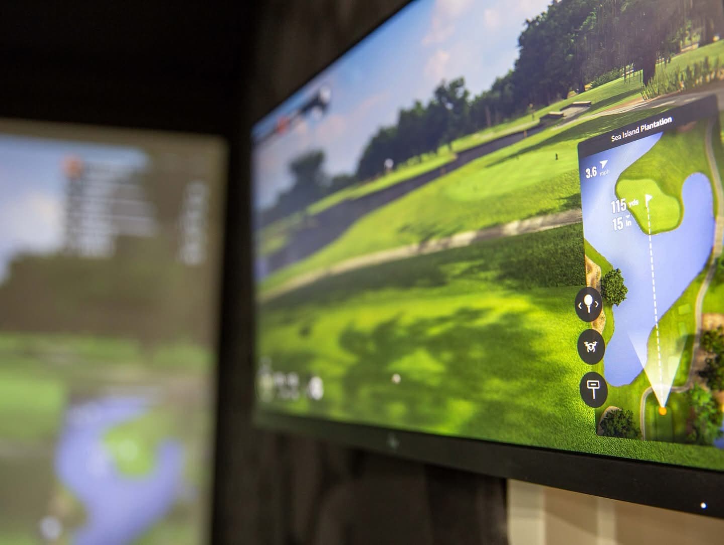 Swing Magnolia - Image 3